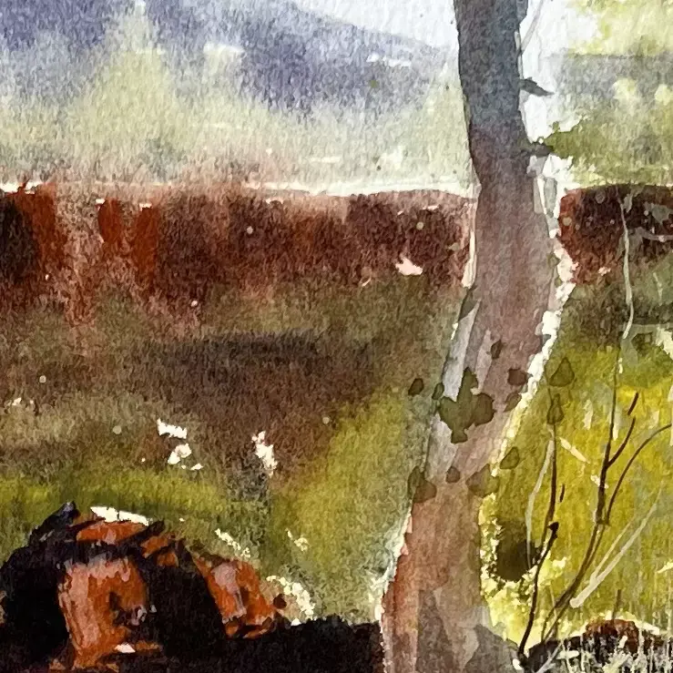 Karijini-Tree-04