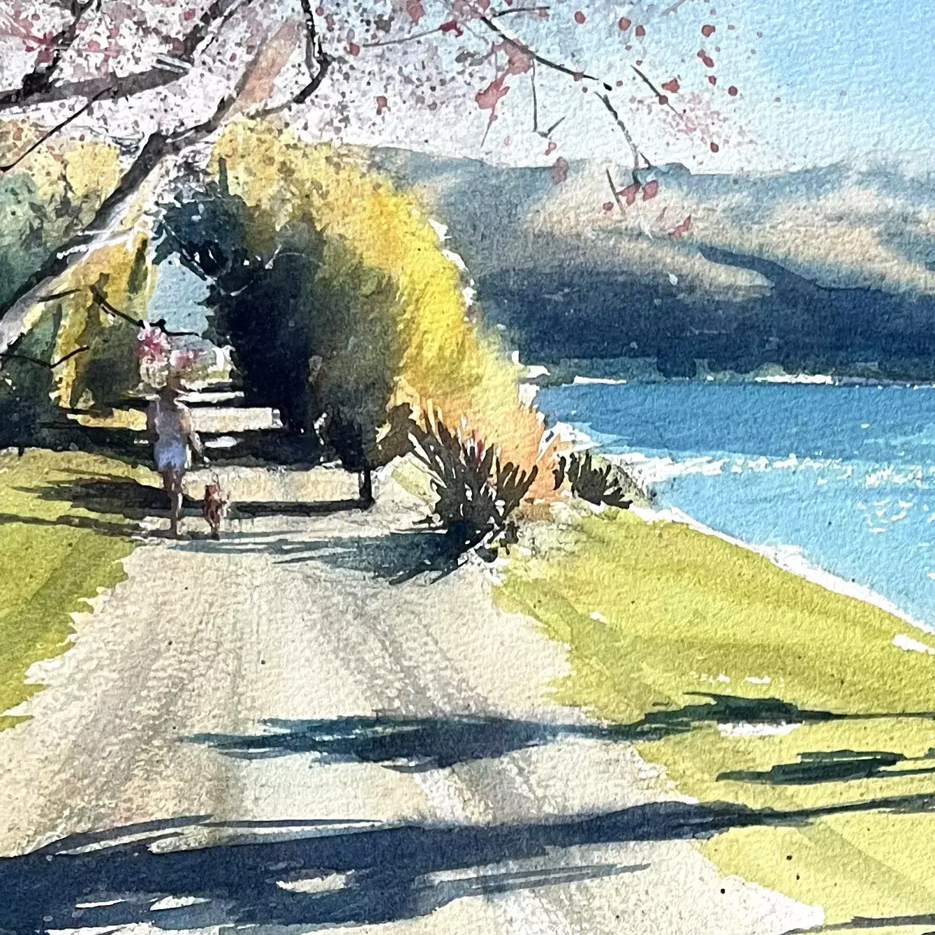 Lake-Hawea-05