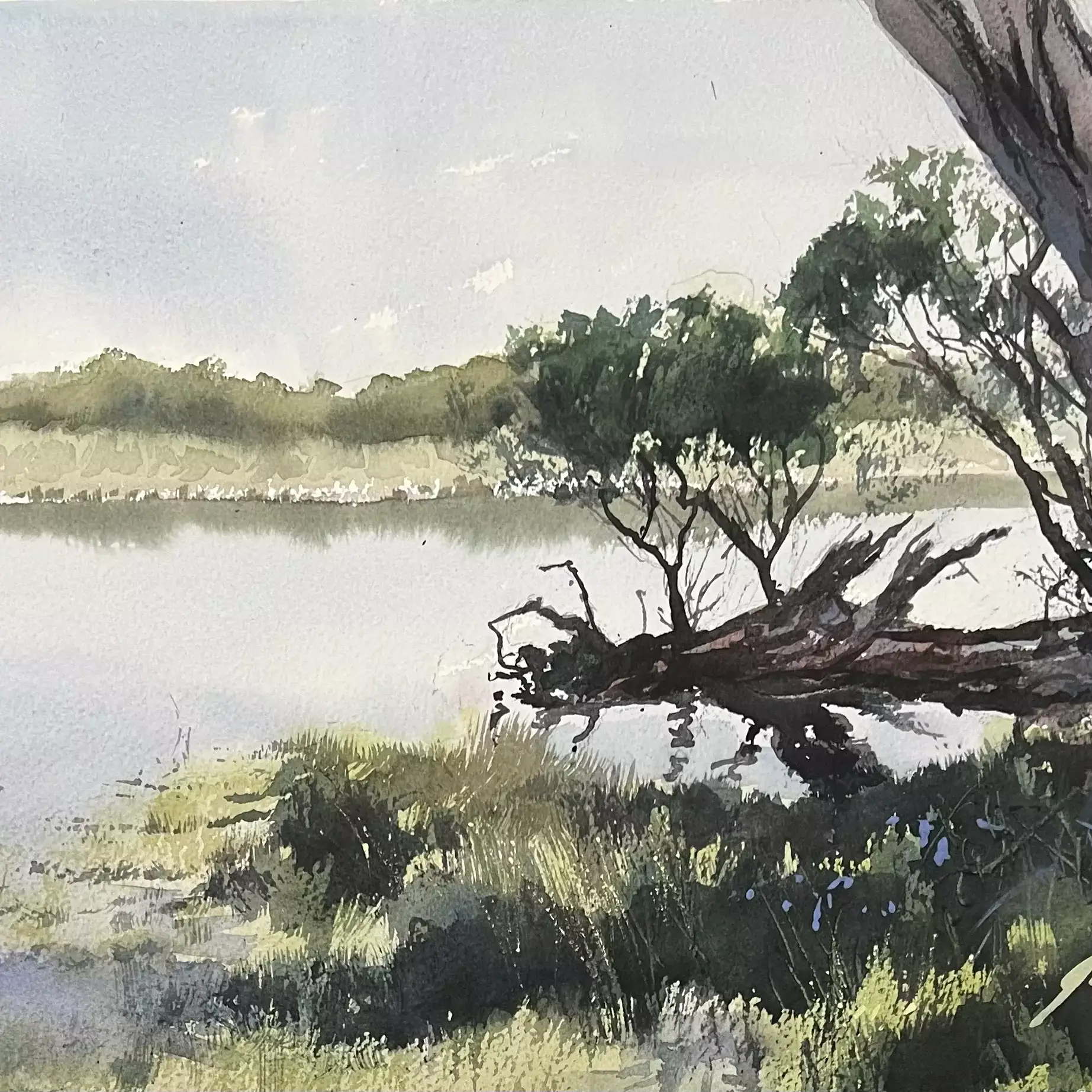 Melaleucas-by-the-Lake-01