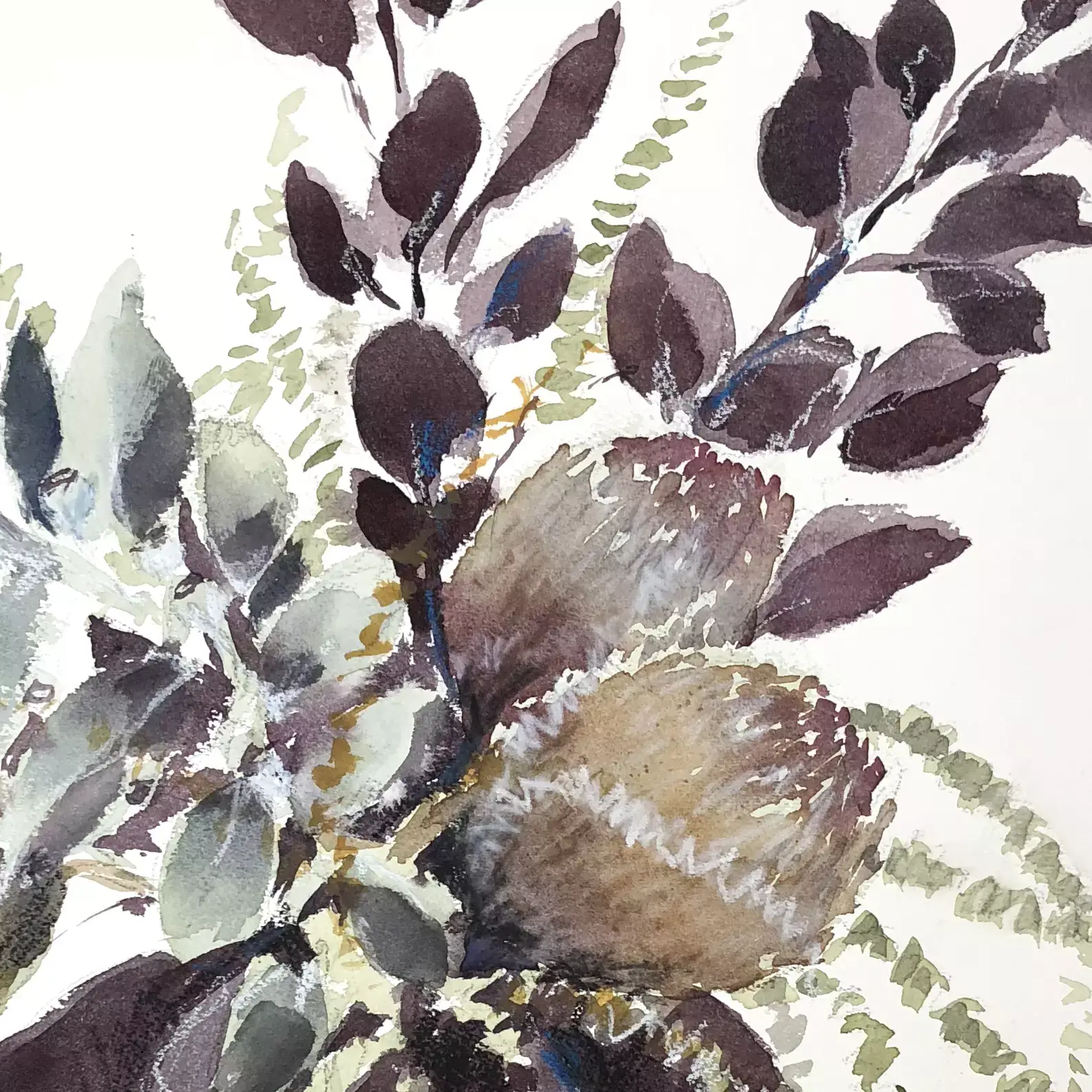 Banksias-03