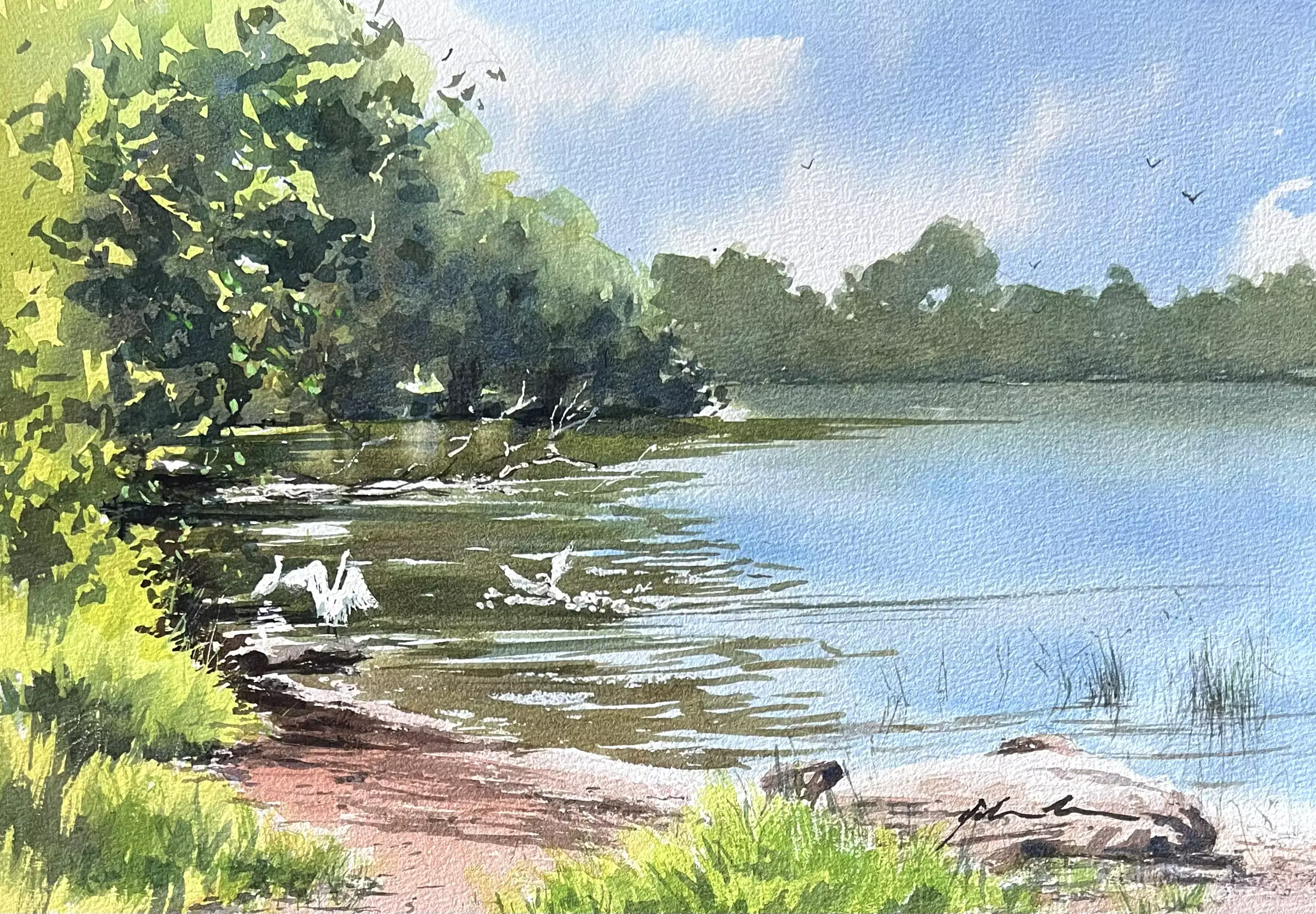 Egrets-at-Bonville-Creek-01