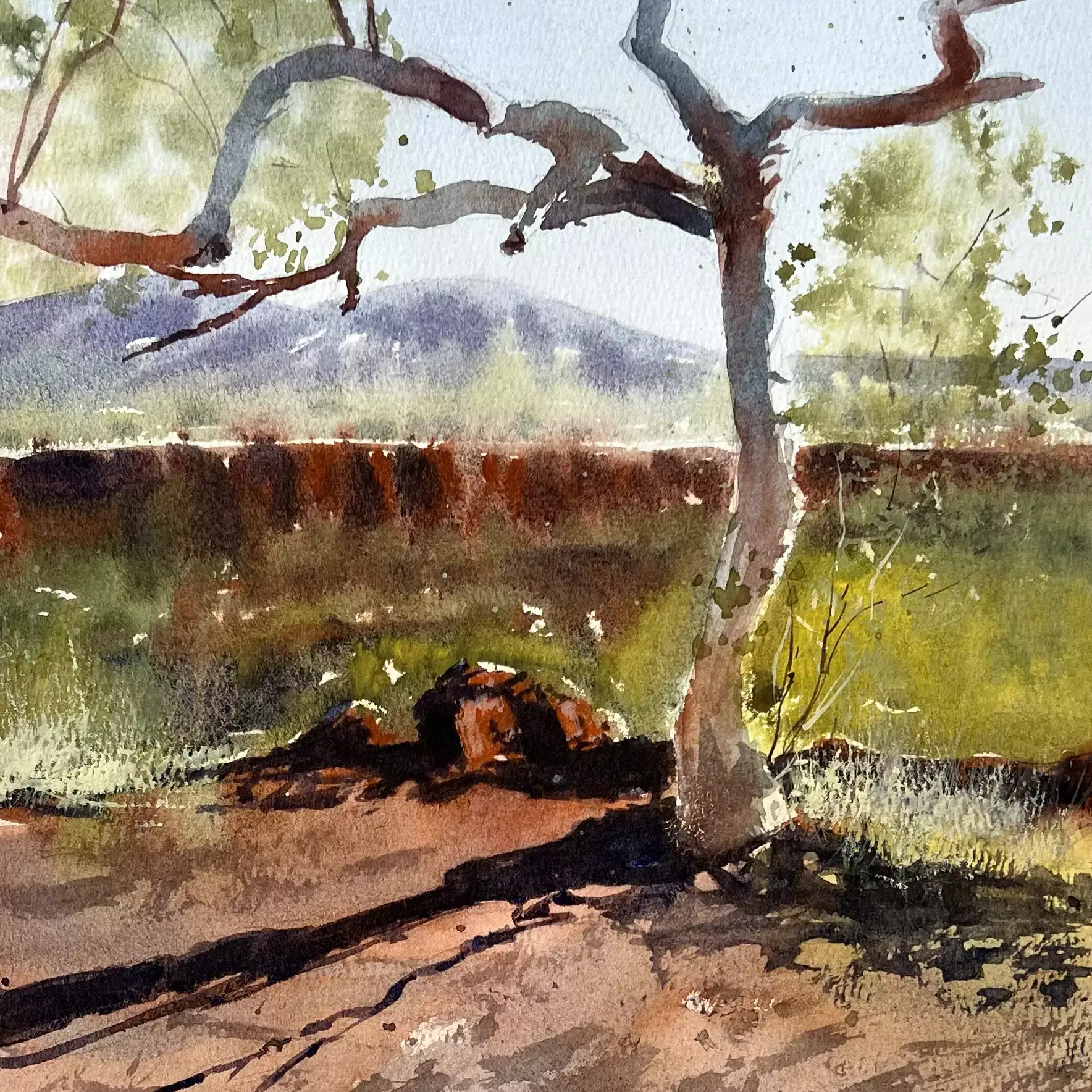 Karijini-Tree-02