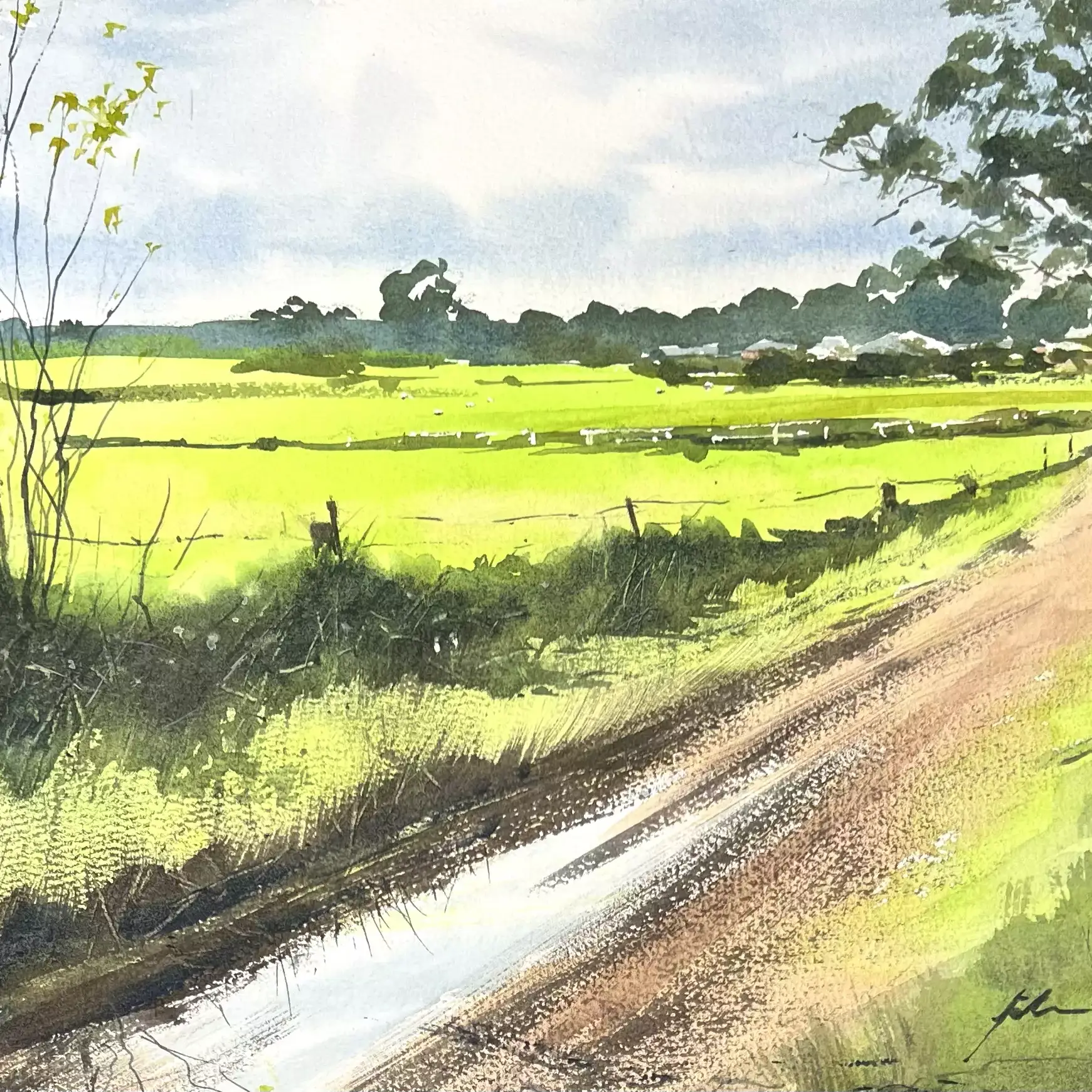 Autumn-Fields-in-Margs-01