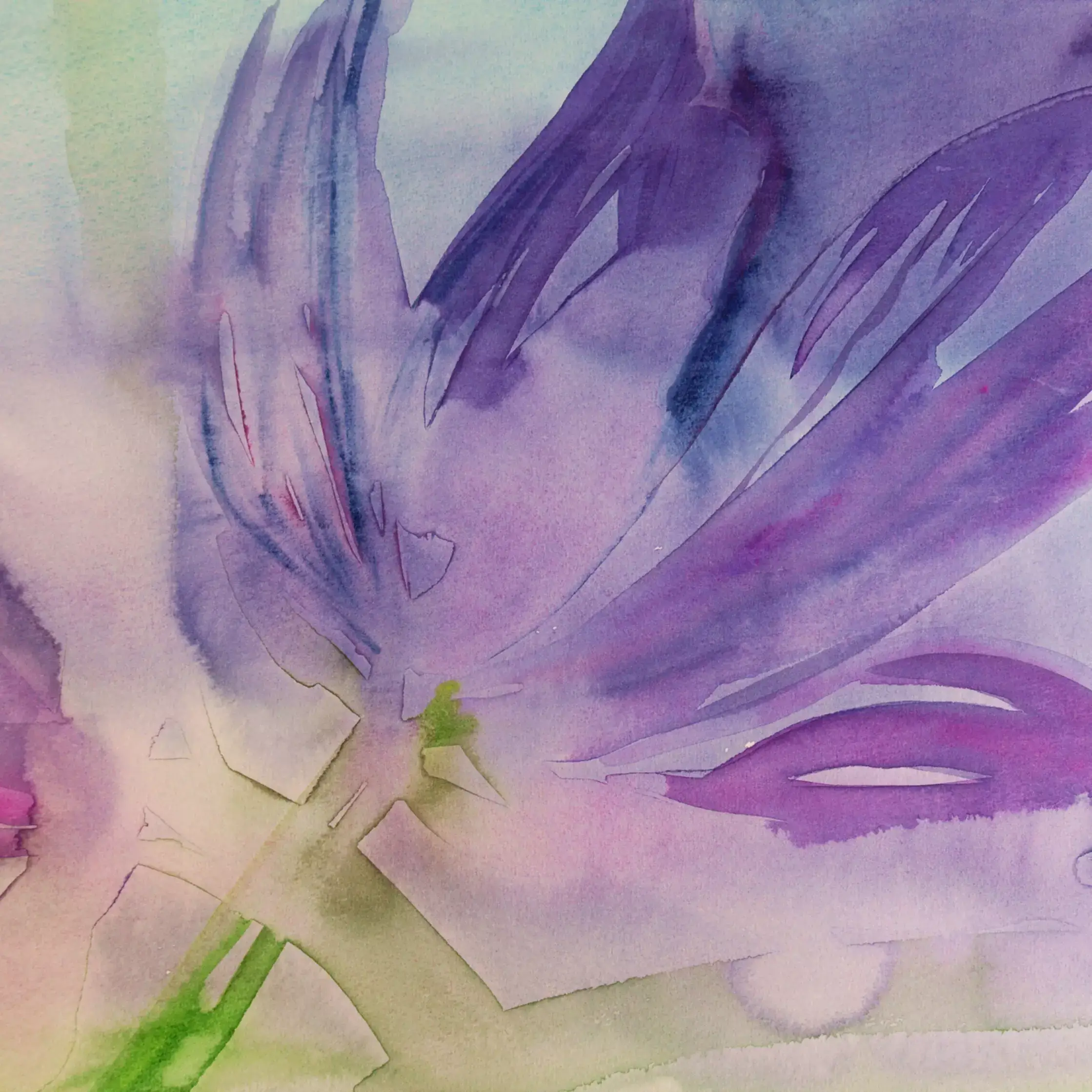 Purple-Flower-01