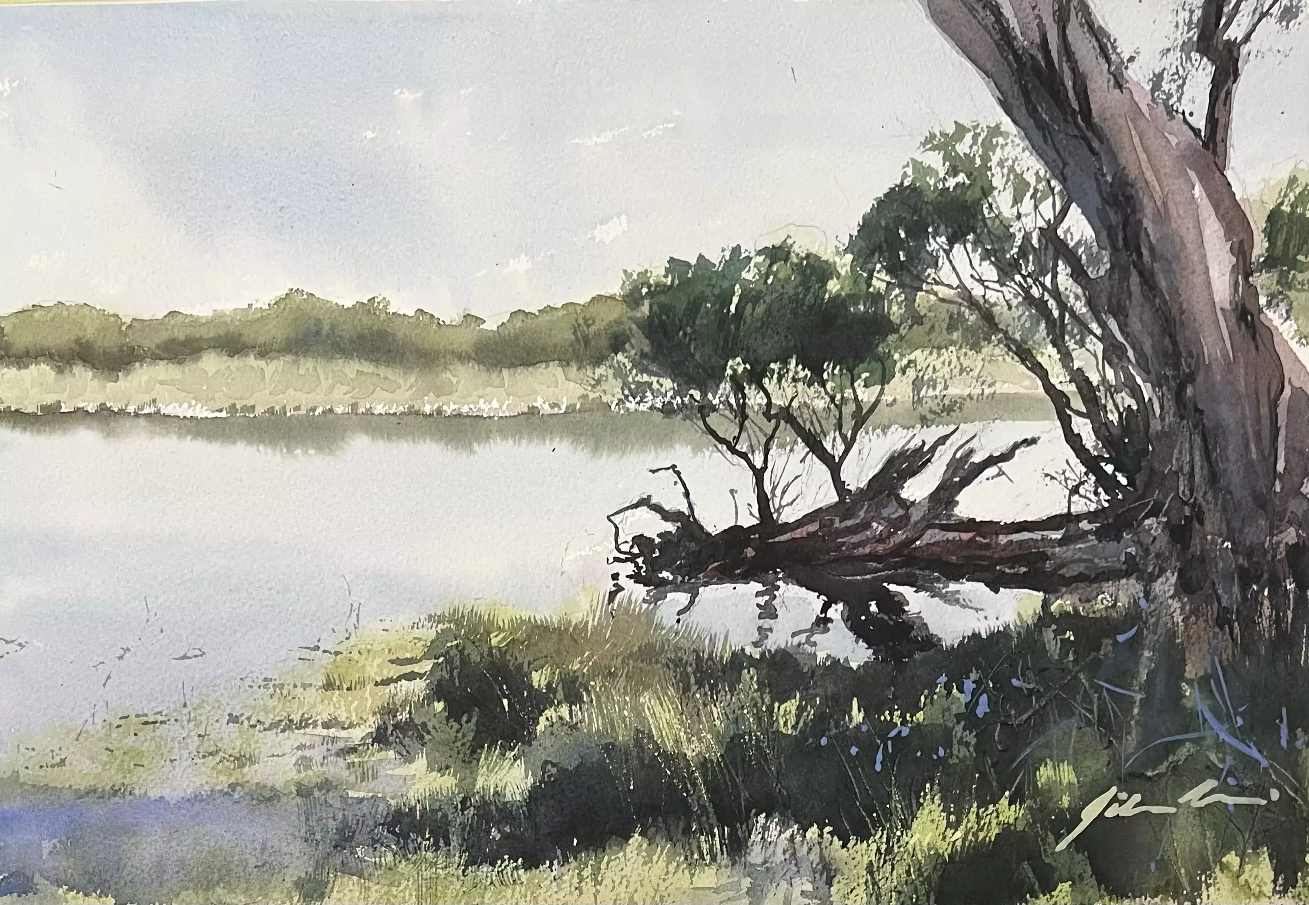 Melaleucas-by-the-Lake-01