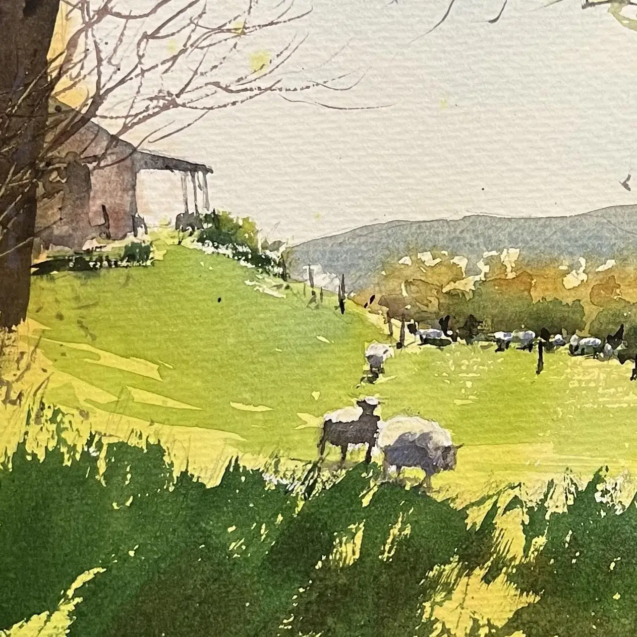 wintergreenonthefarm-crop