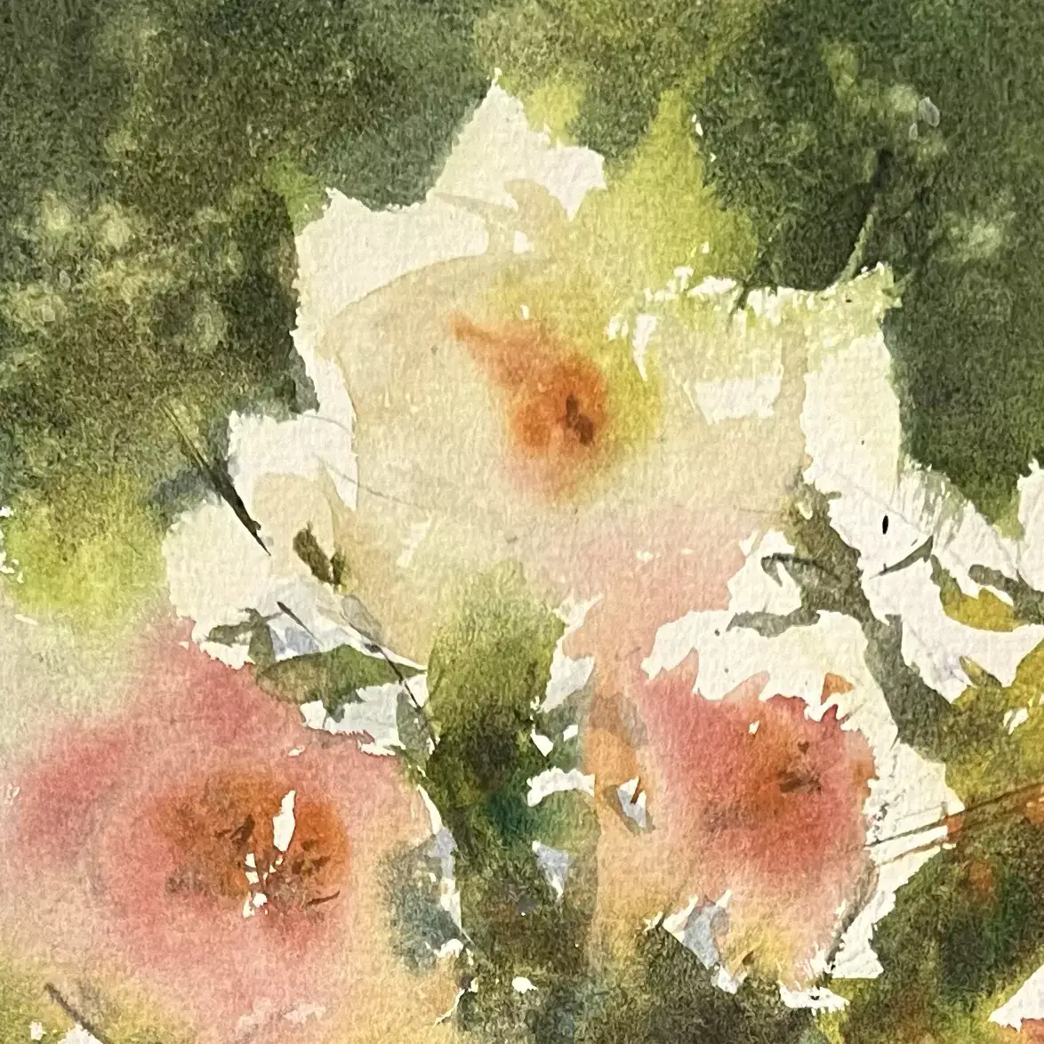 Light-On-the-Roses-05