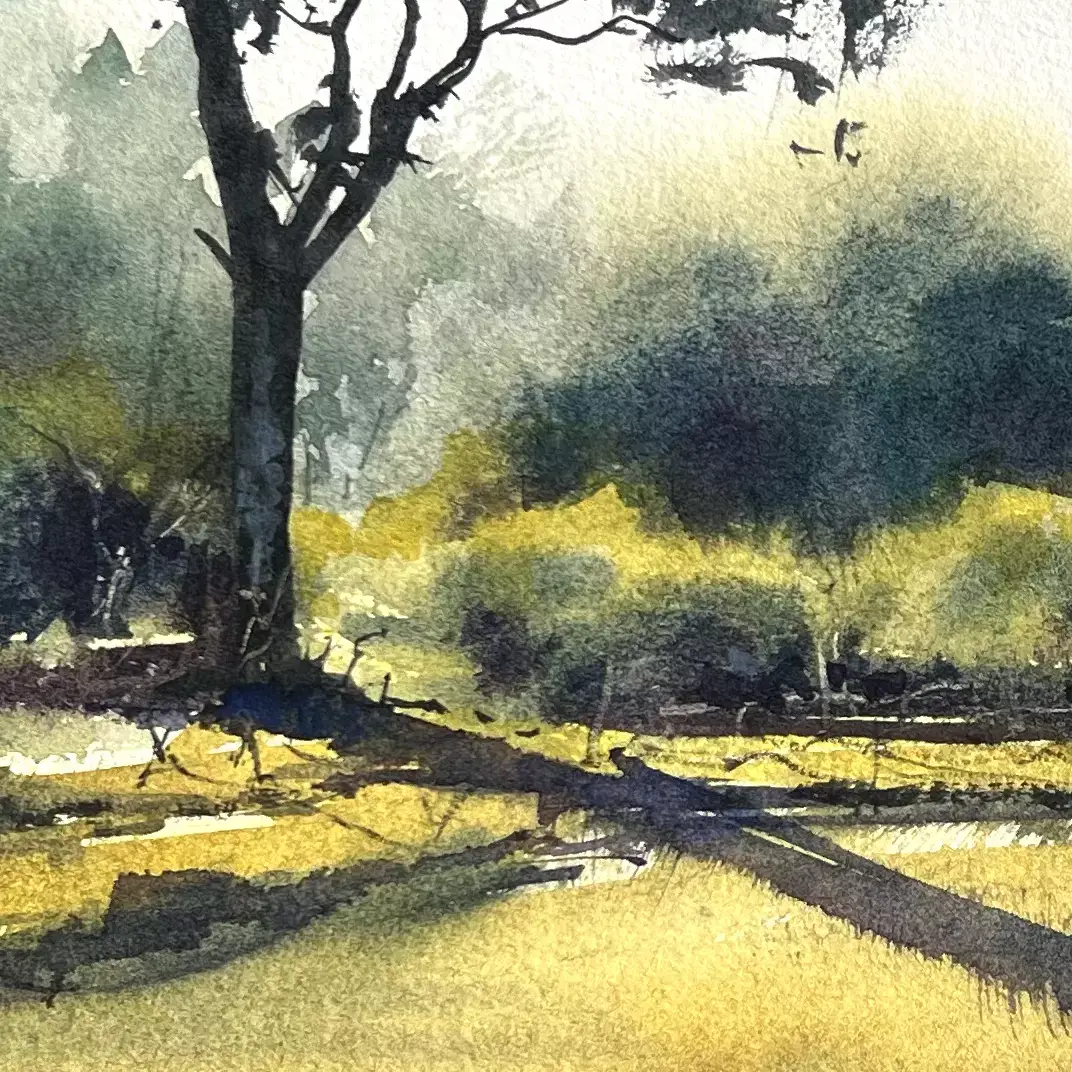 Shadows-of-a-Lonely-Tree-05