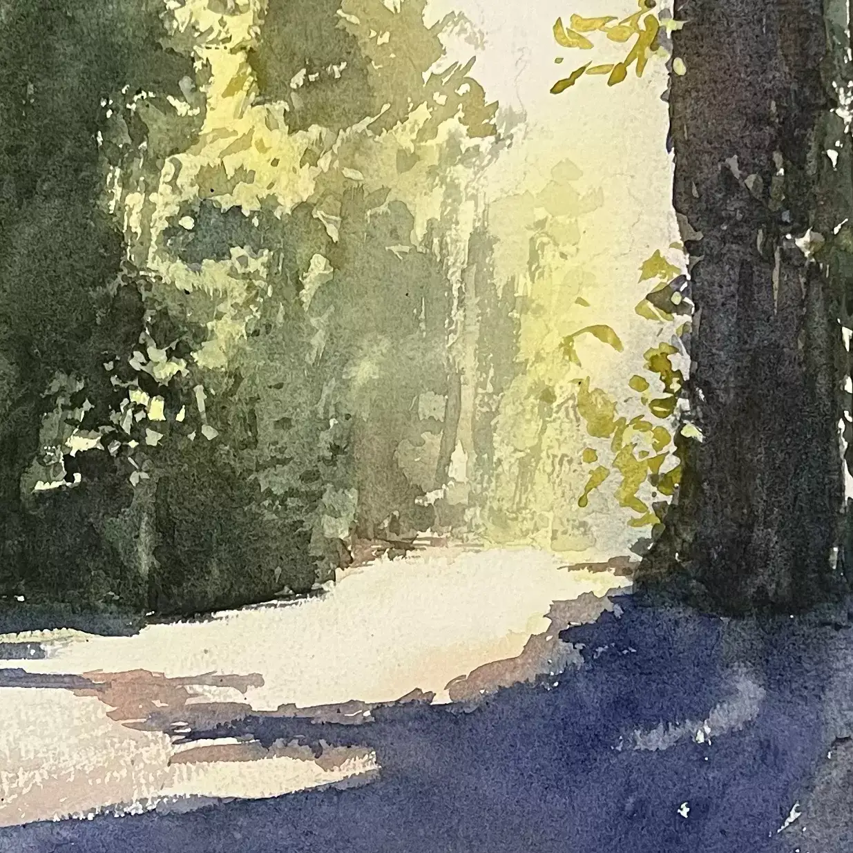 Forest-Light-05