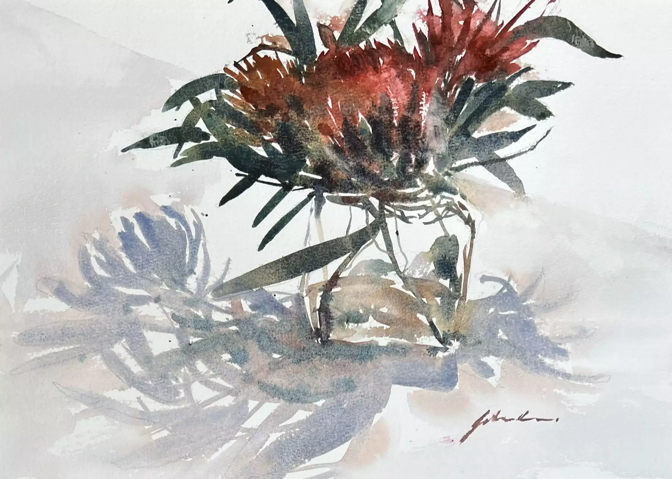 3-Proteas-01