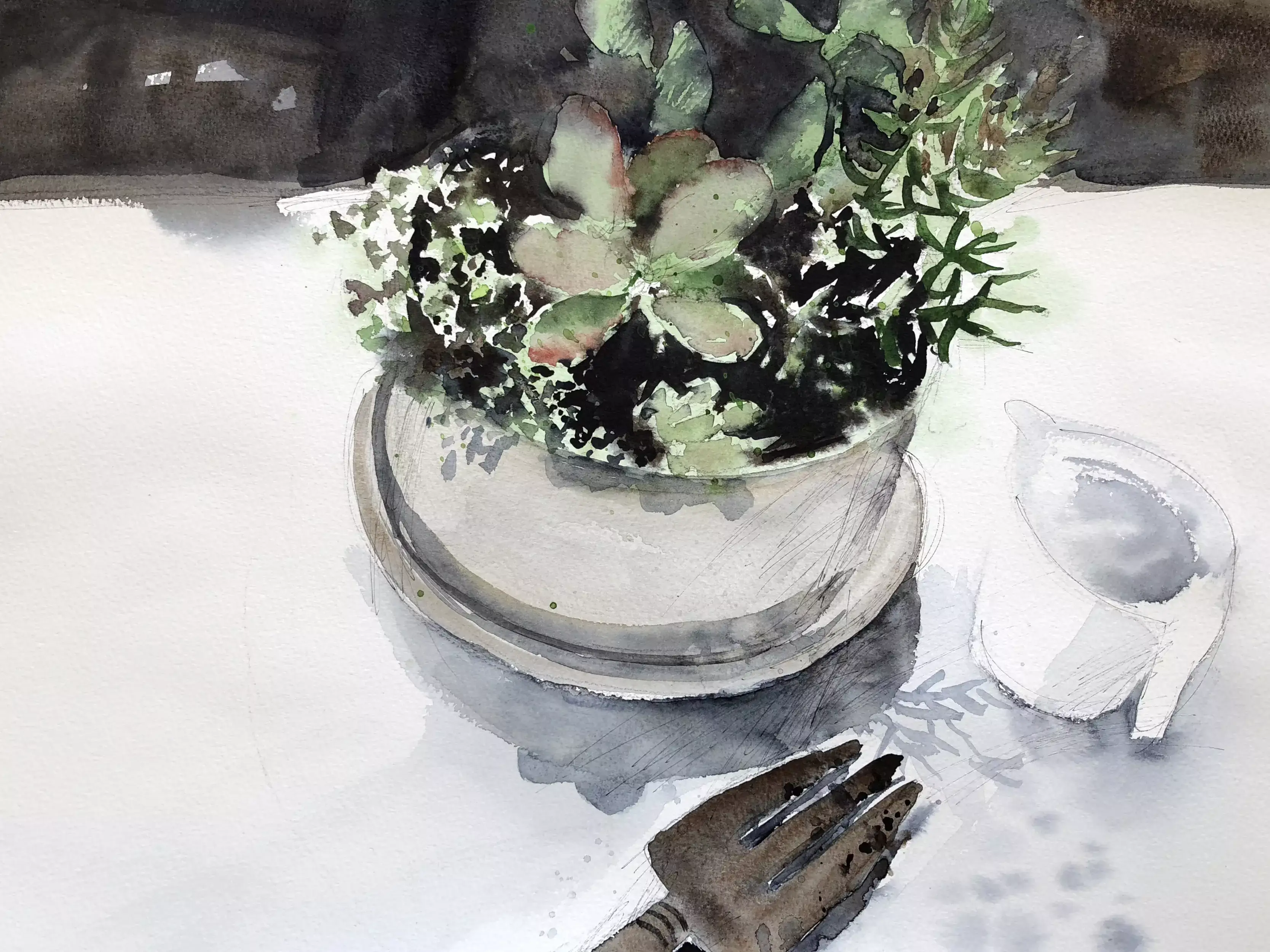 My-Succulents-01