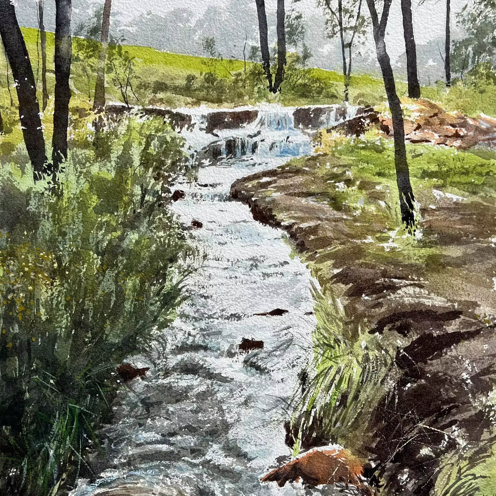 Little-Rapids-01