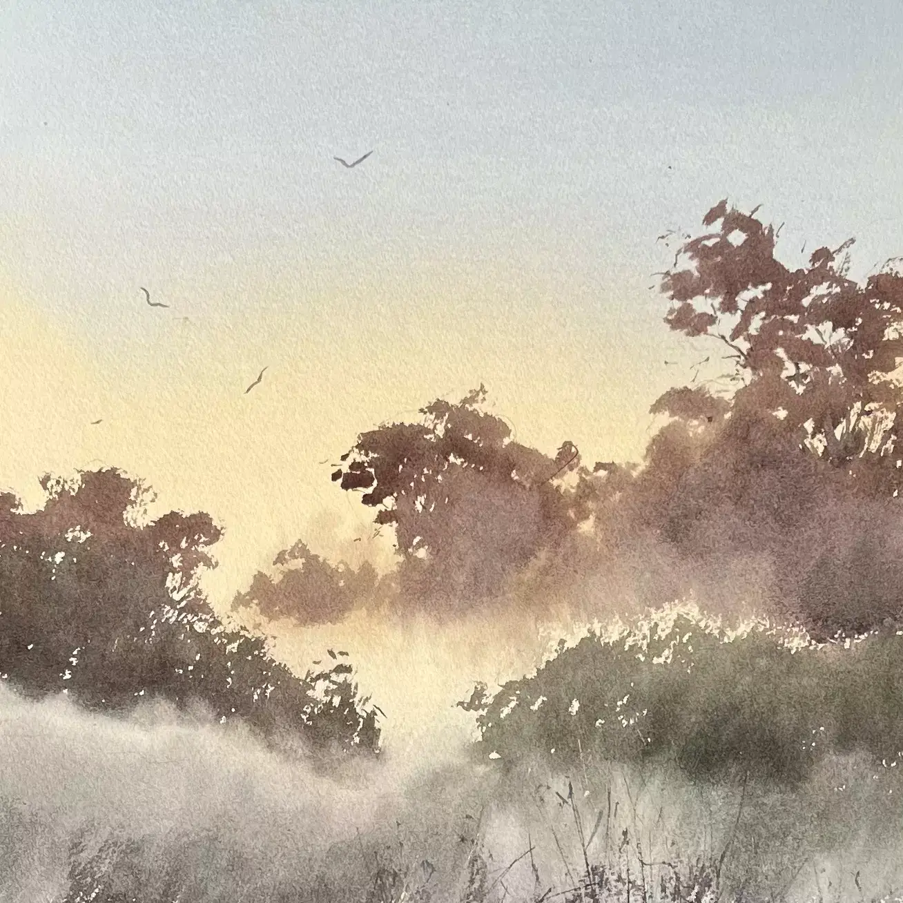 Morning-Fog-In-Margs-01