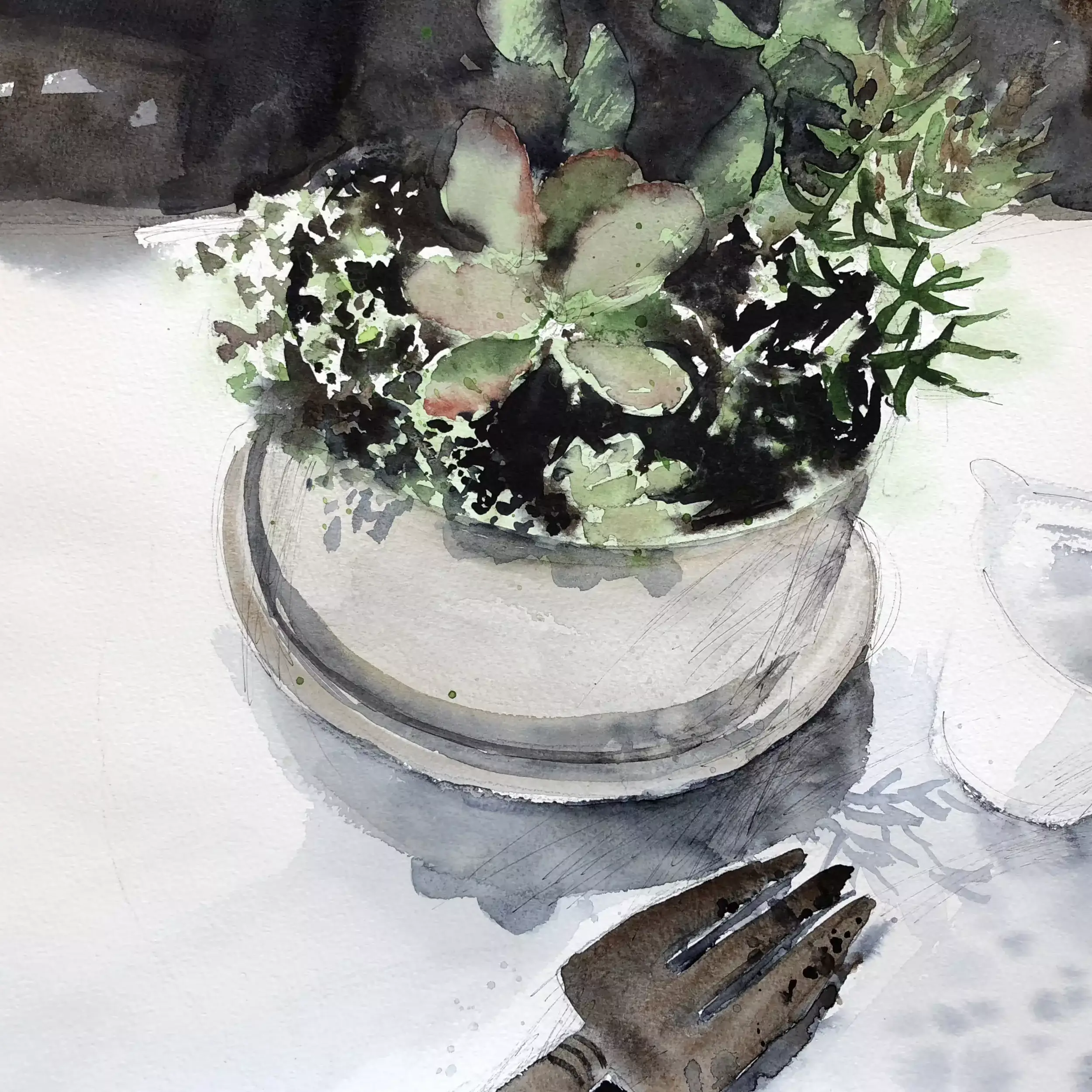 My-Succulents-01