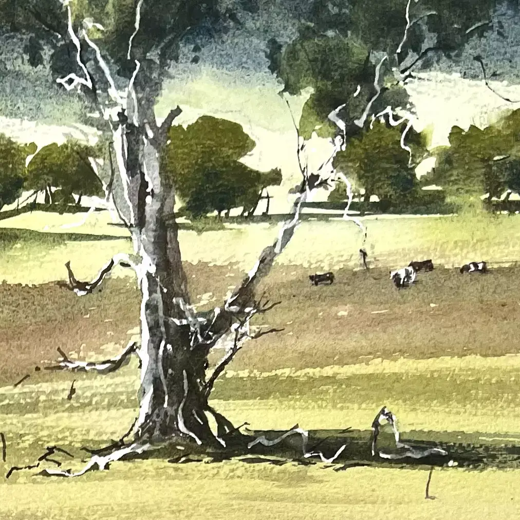 Margaret-River-Tree-05