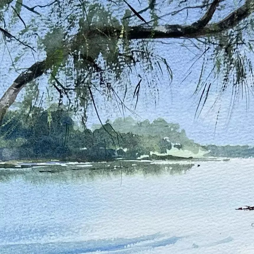 Bonville-Creek-04