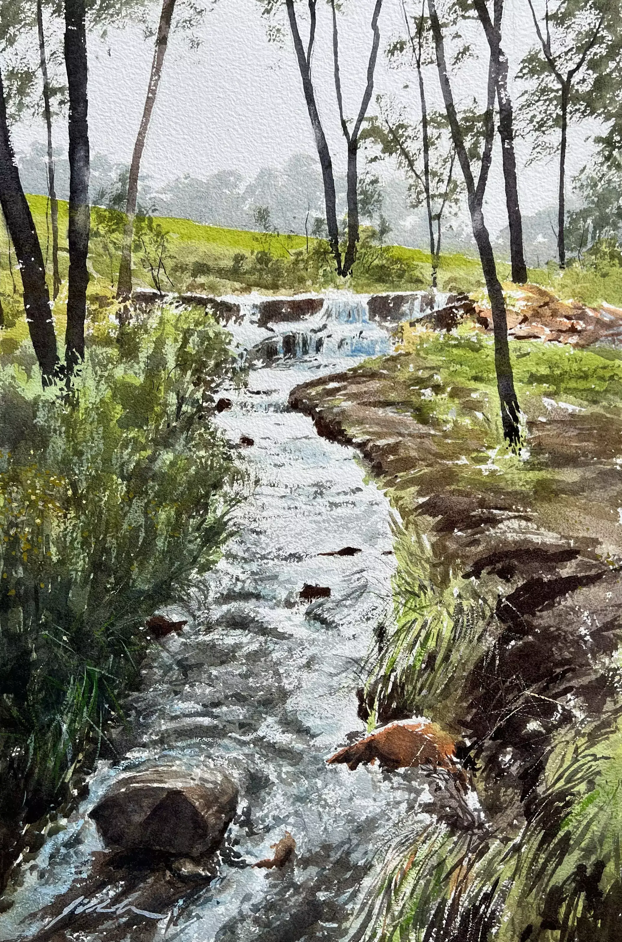Little-Rapids-01