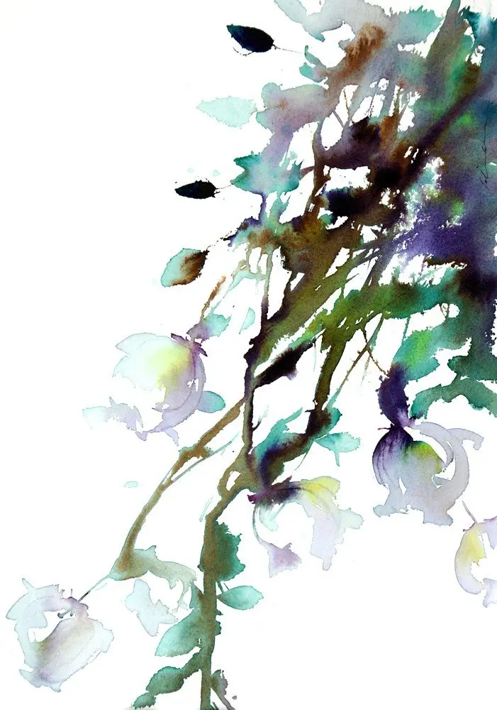A Climber