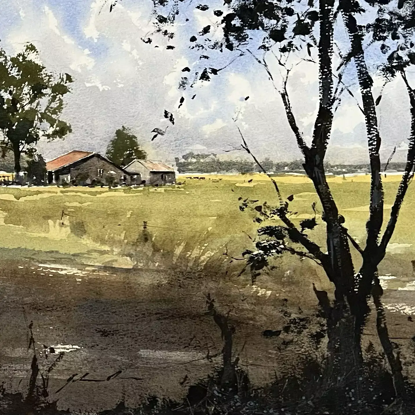 Homestead-In-Margs-02