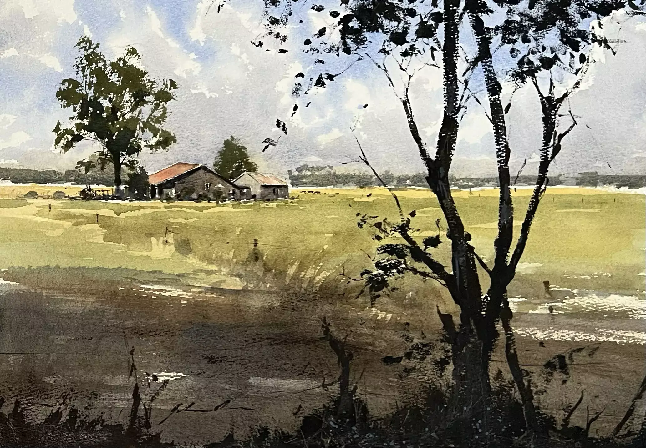 Homestead-In-Margs-02