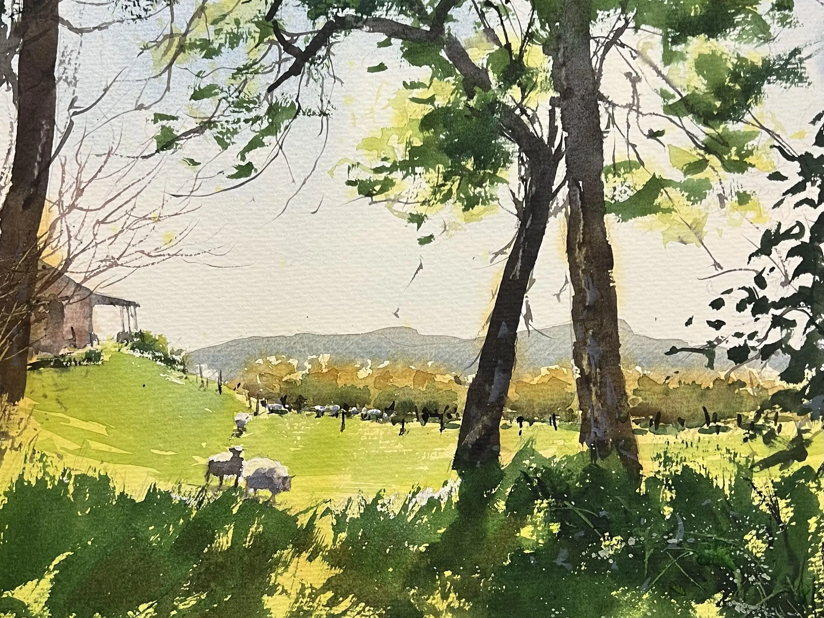 wintergreenonthefarm