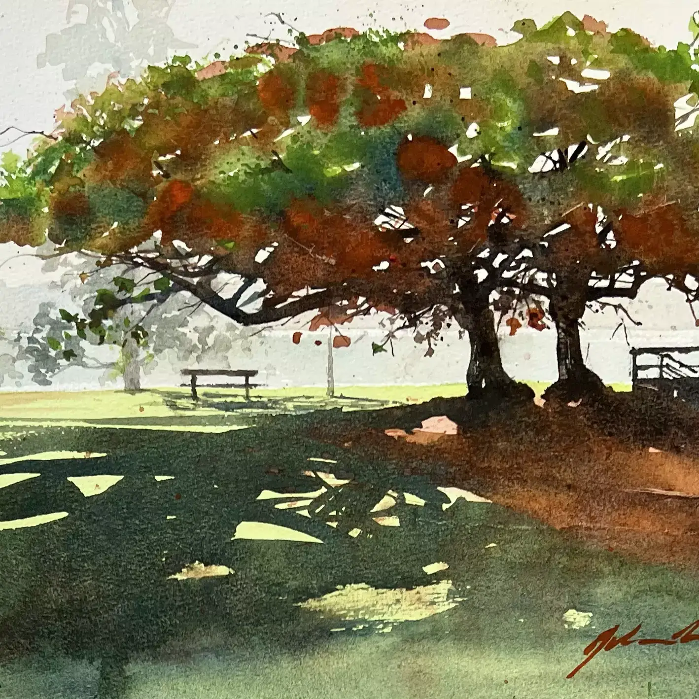 Two-Poincianas-01
