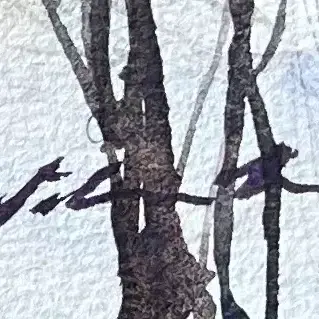 Forest-Whispers-04