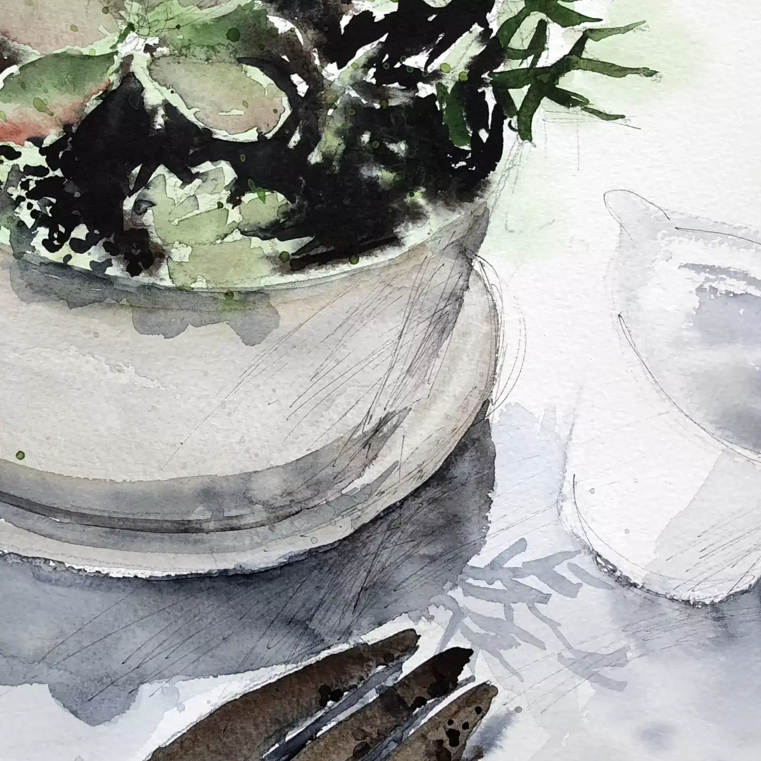 My-Succulents-02