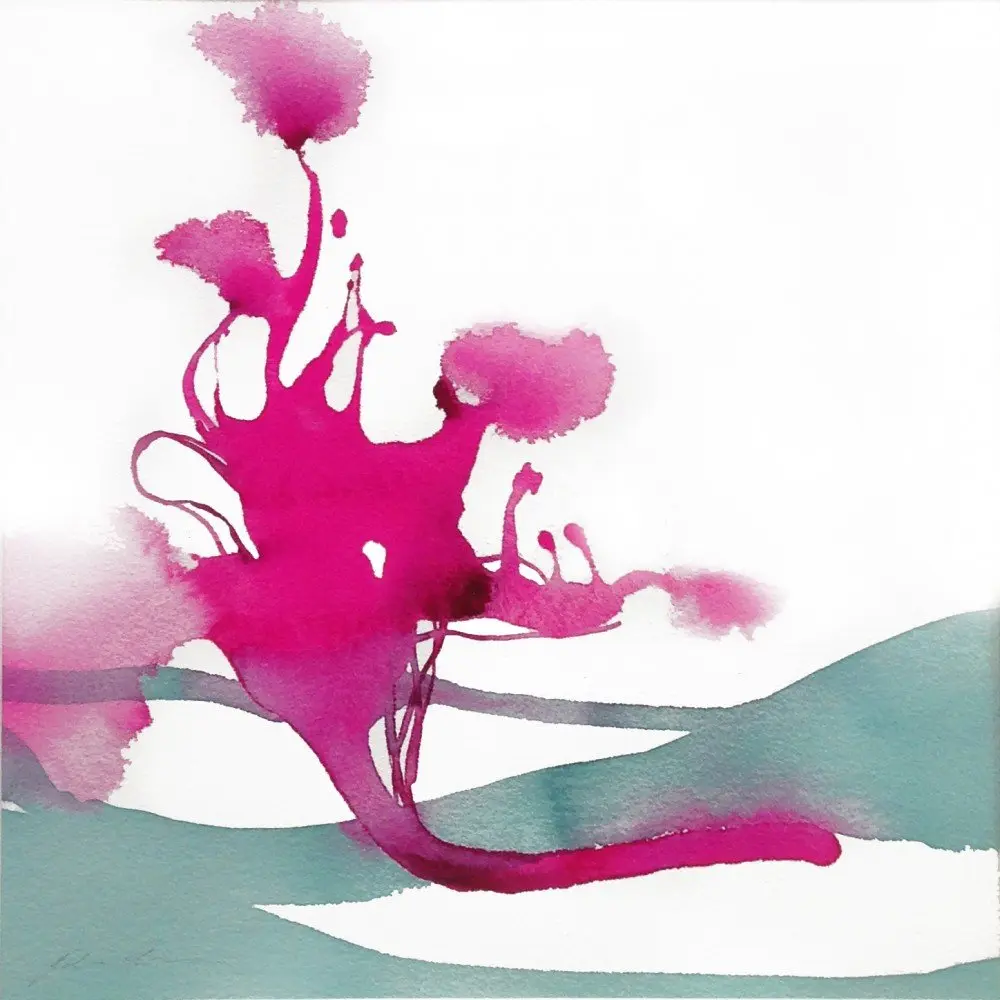 Pink Coral