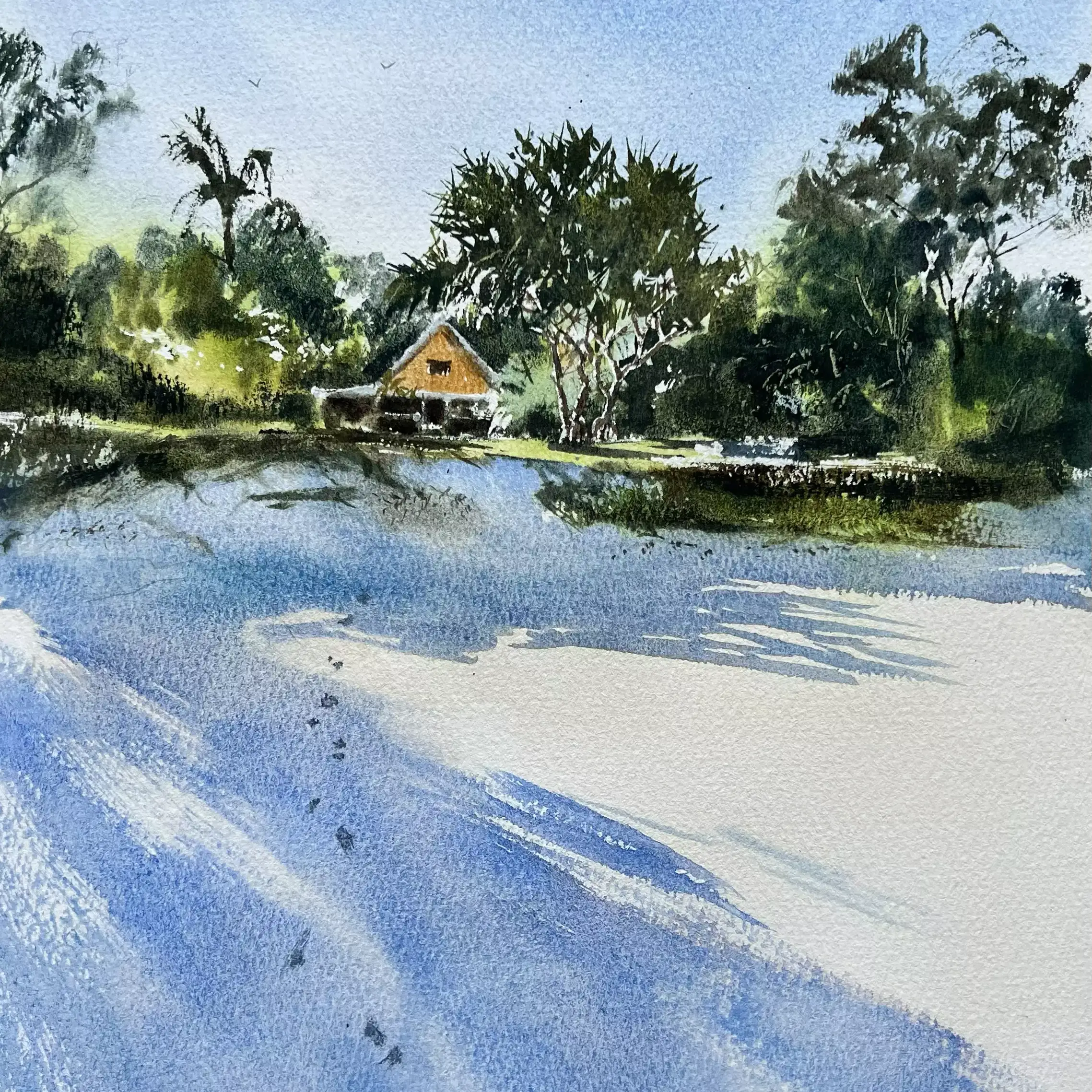 Morning-Shadows-at-Cowan-Cowan-01