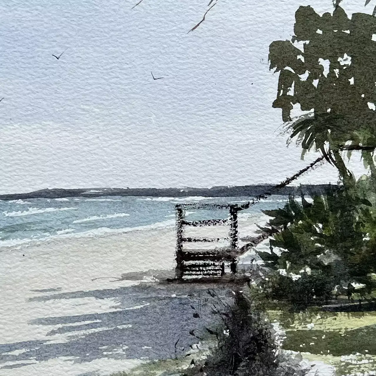 Cowan-Cowan-Beach-North-05