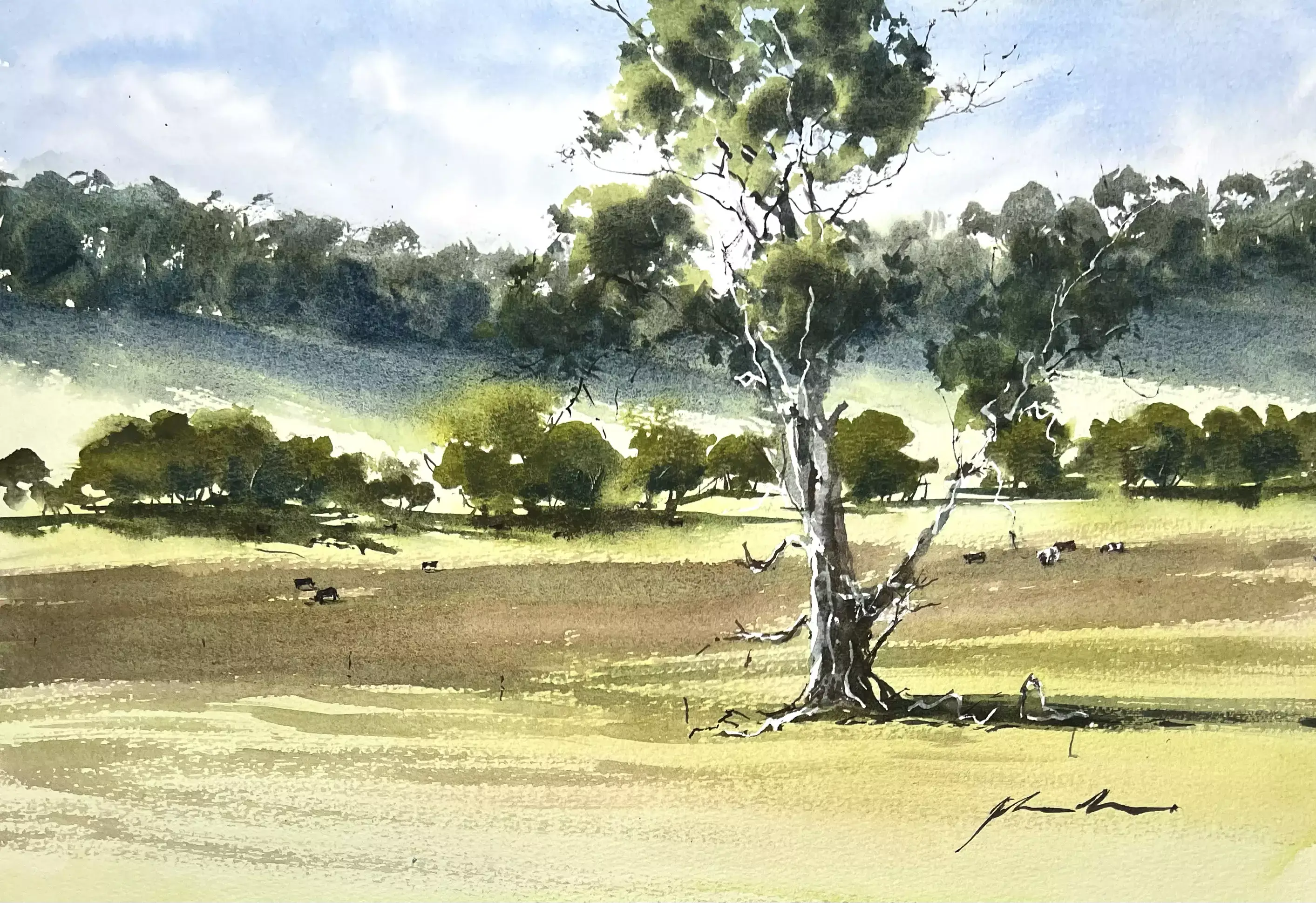 Margaret-River-Tree-01