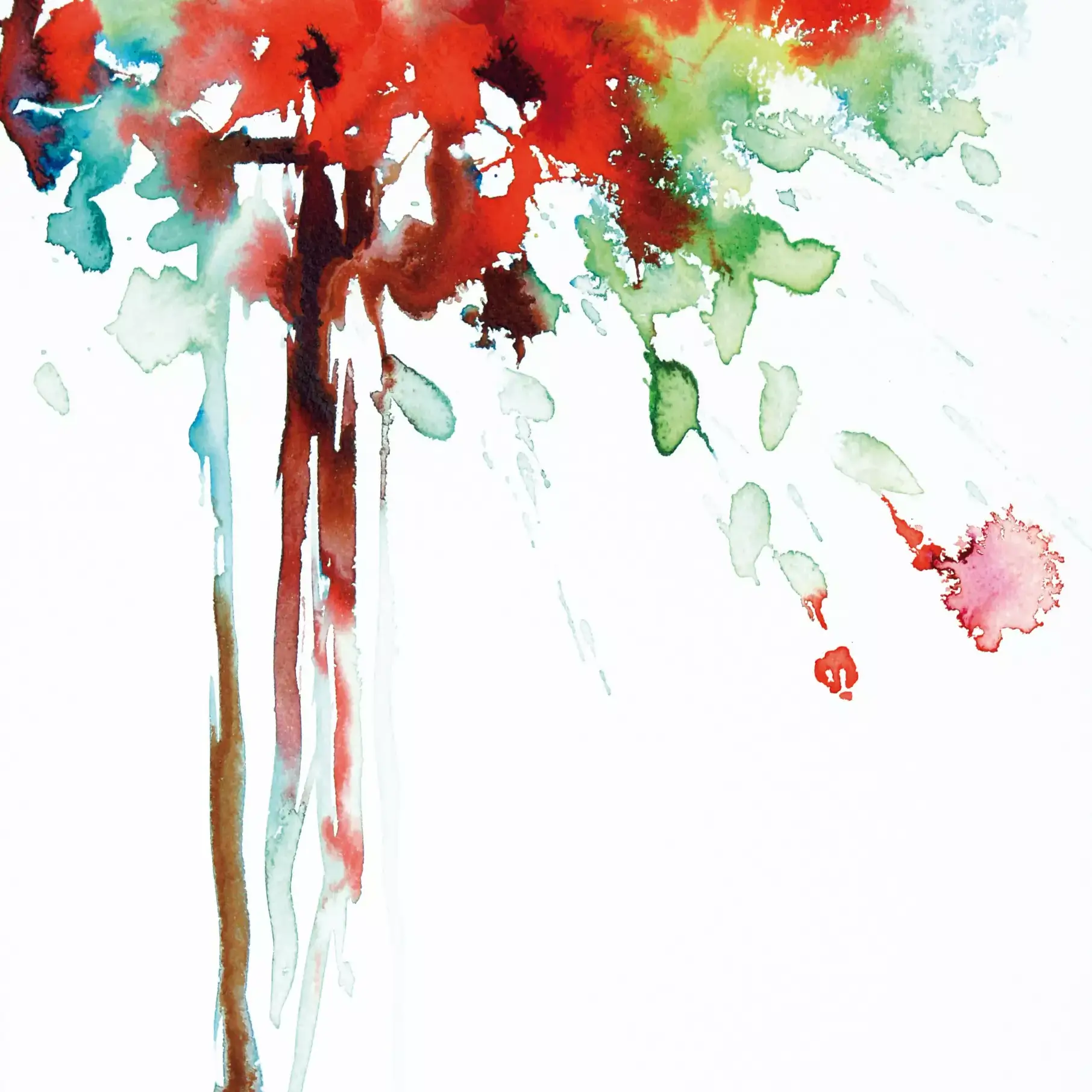 Tall-Poppies-01
