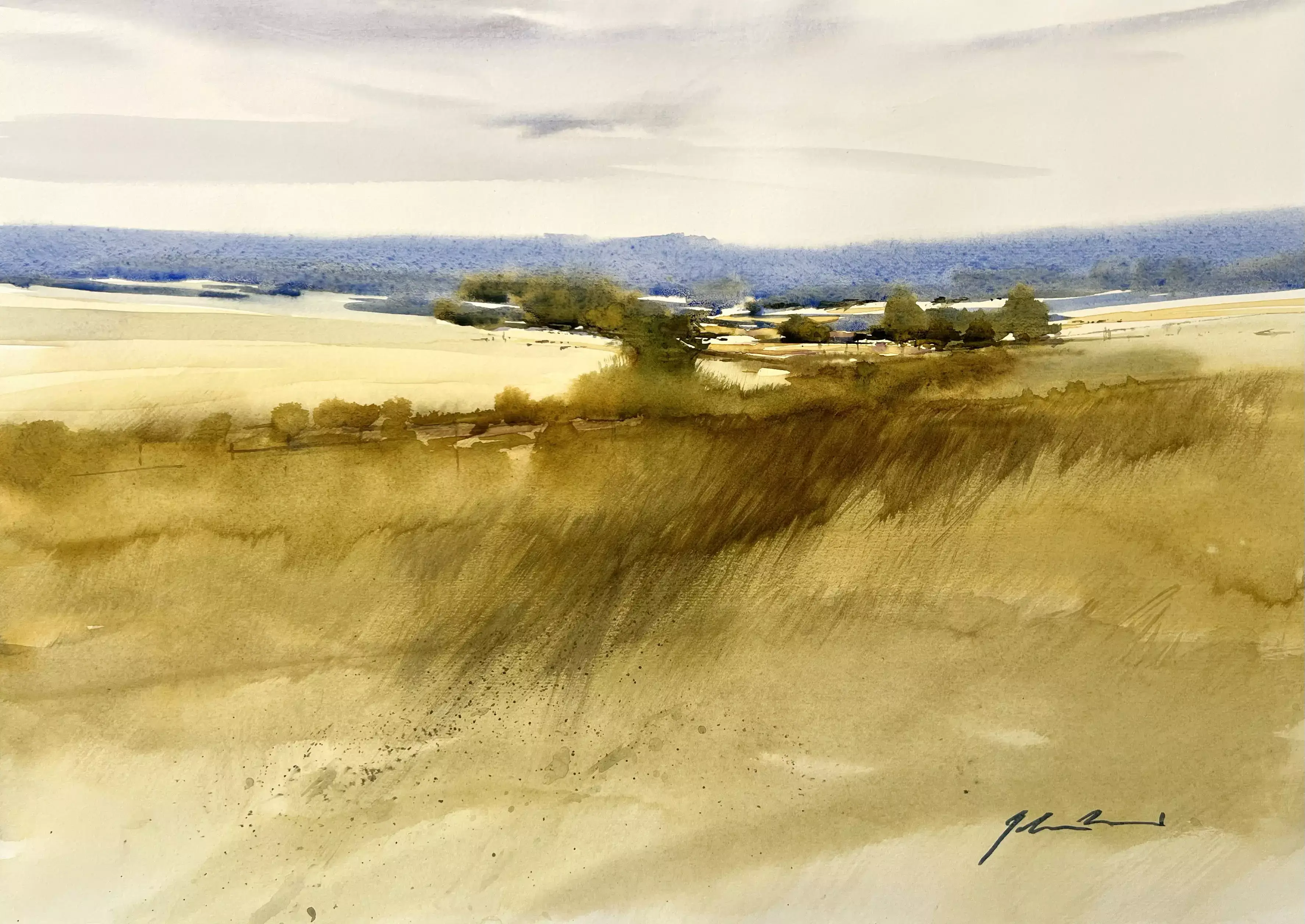 Summer-Fields-01