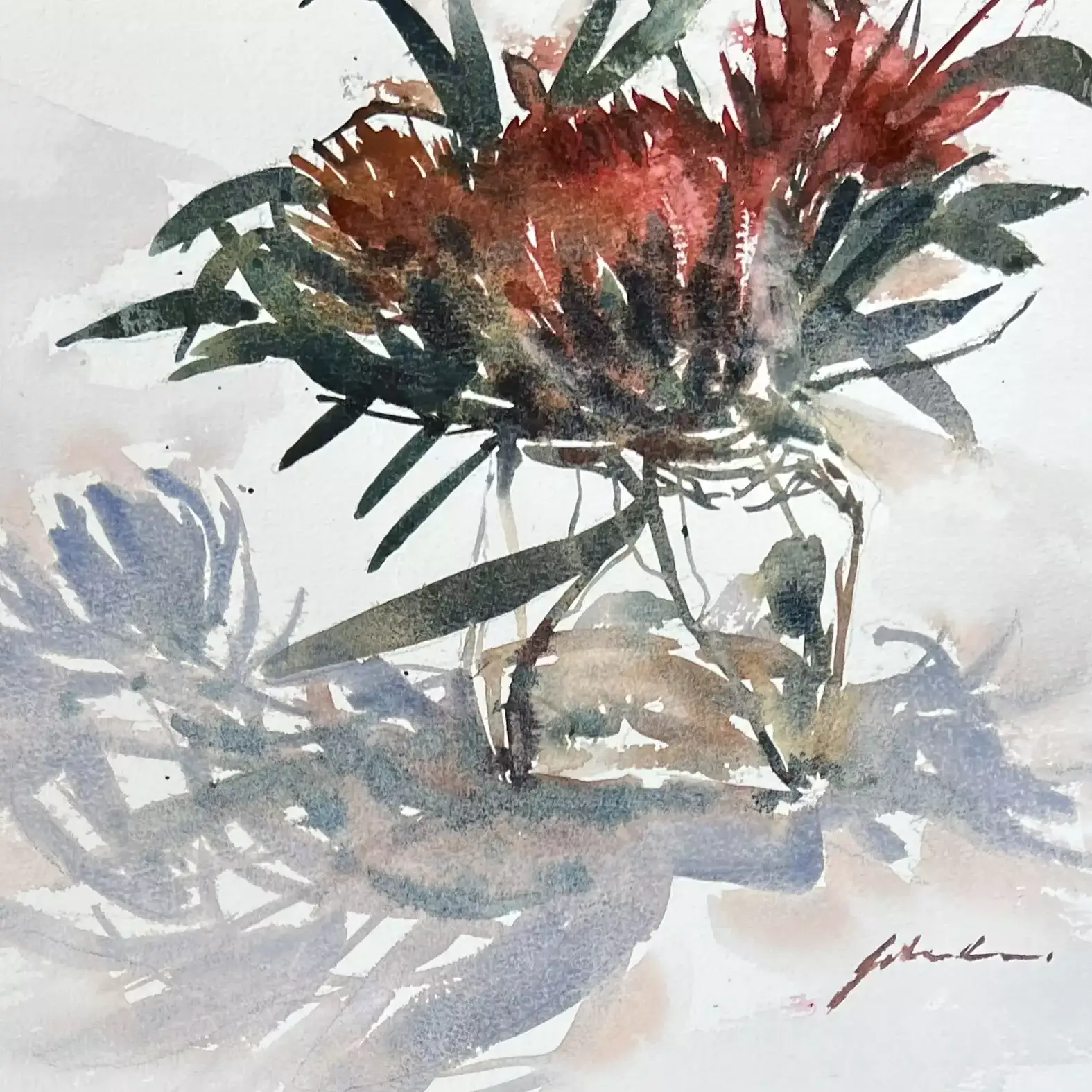 3-Proteas-01