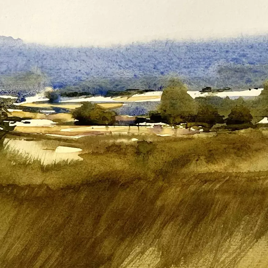 Summer-Fields-05