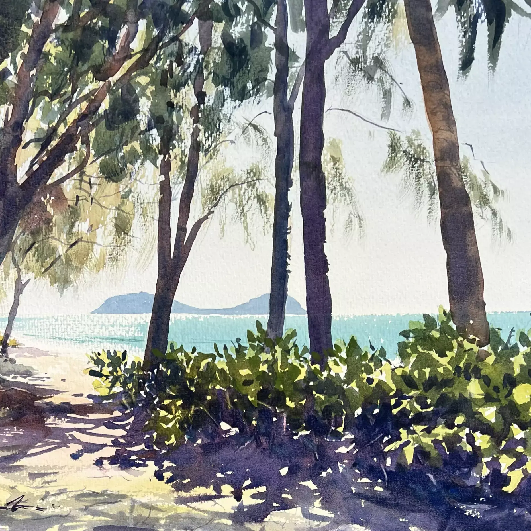 Paradise-at-Palm-Cove-02