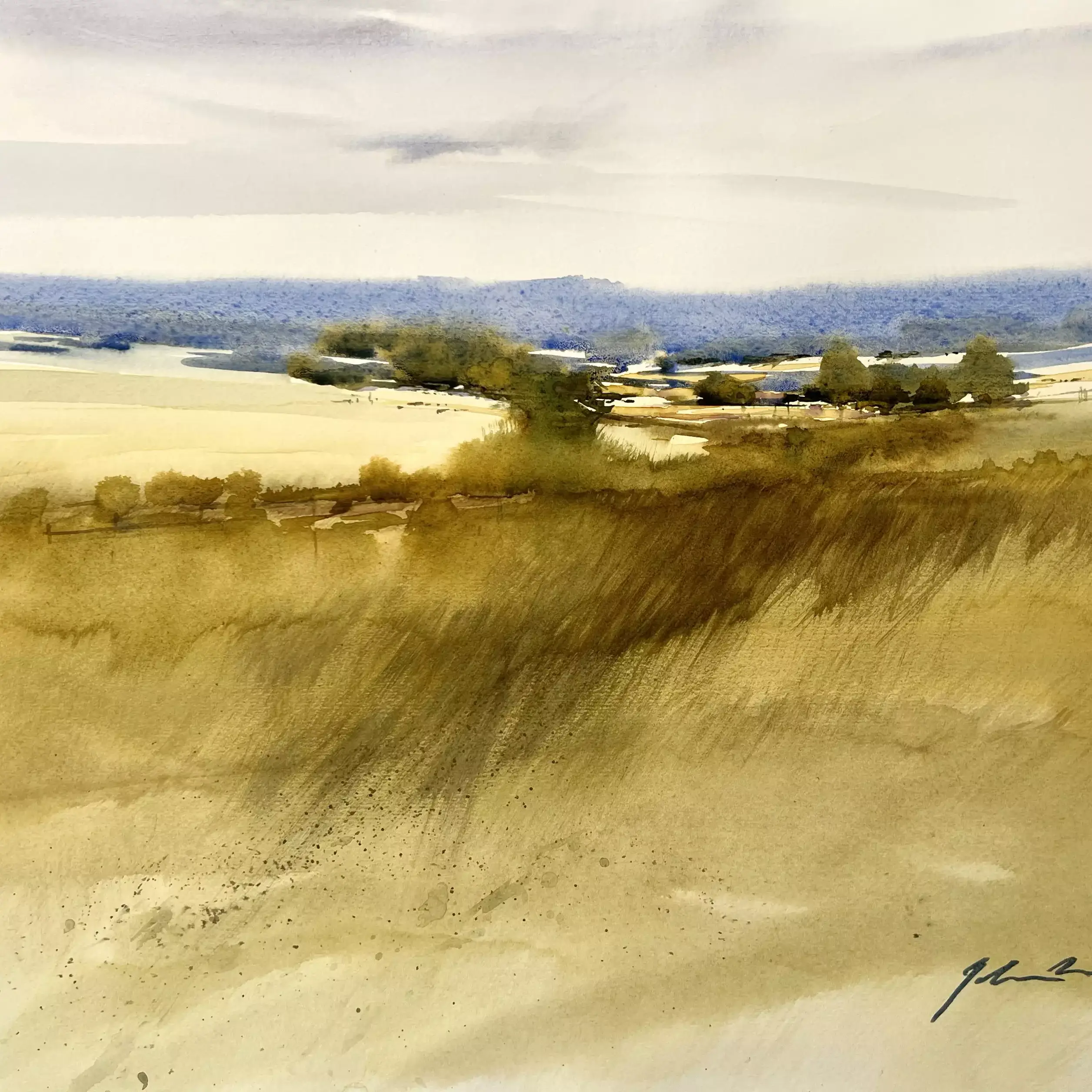 Summer-Fields-01