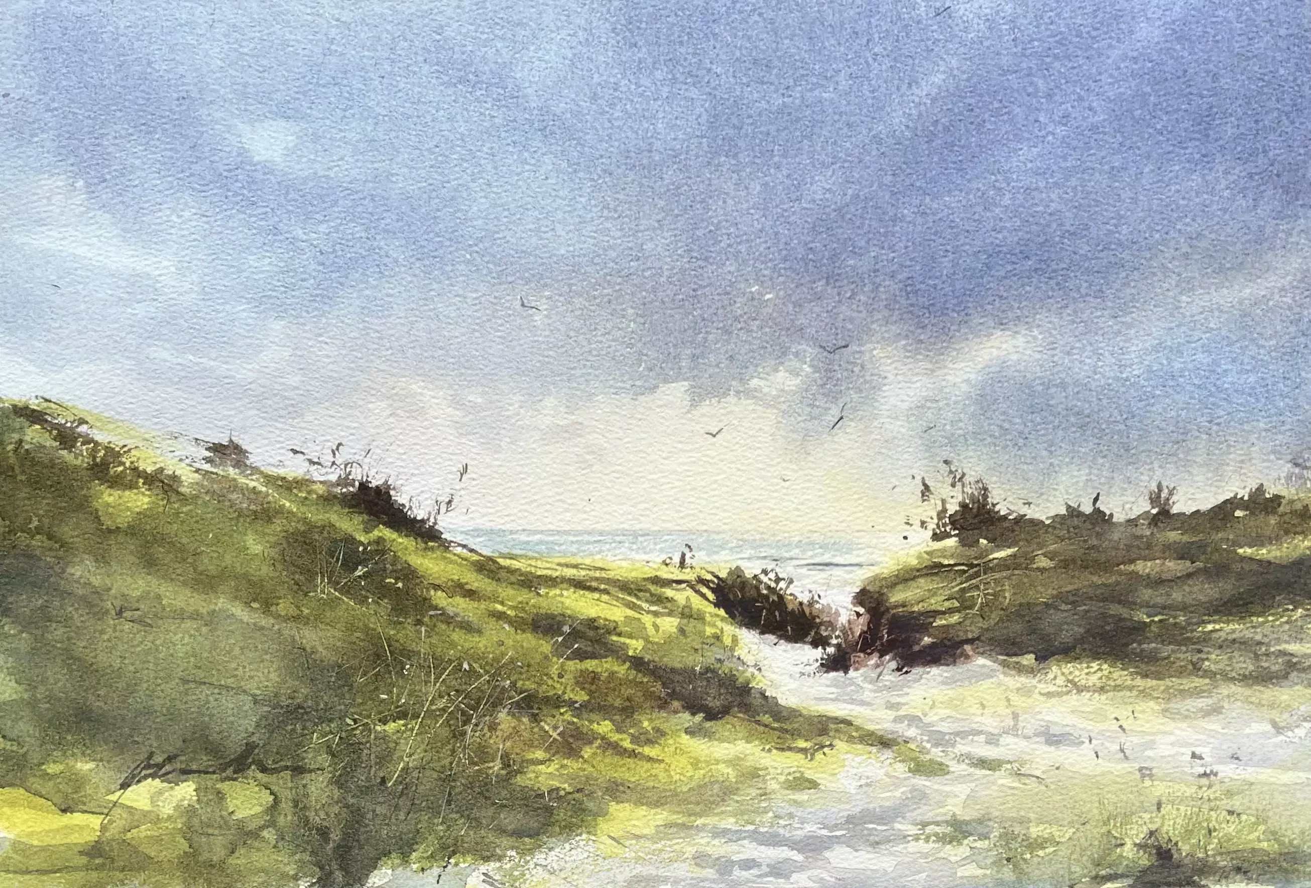 Afternoon-Light-02