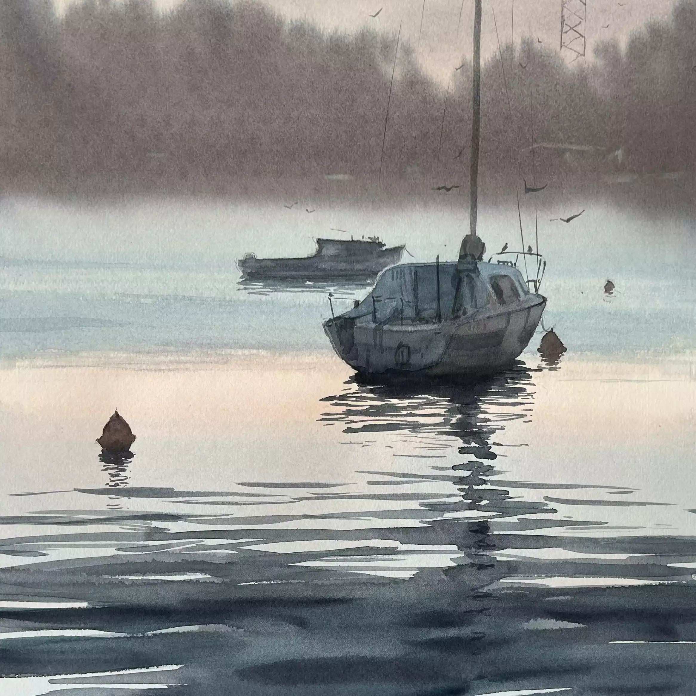 Evening-on-the-Swan-01