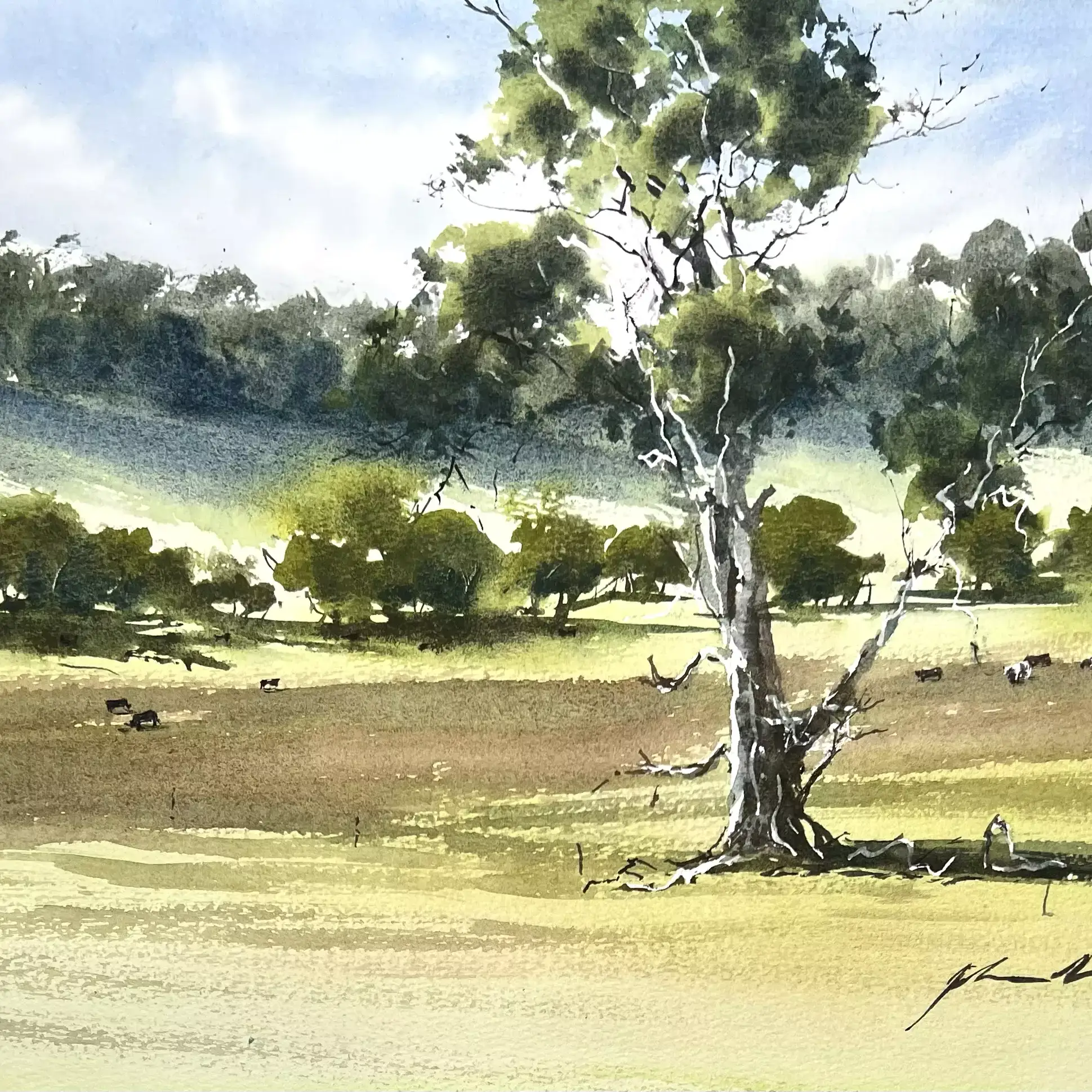 Margaret-River-Tree-01