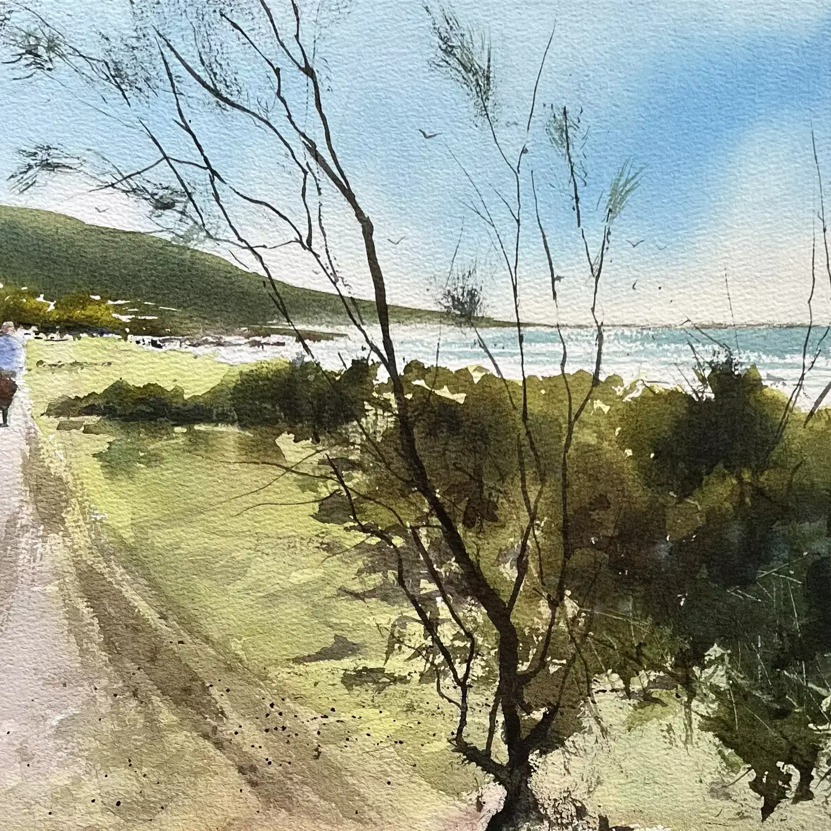 A-Walk-Along-Geographe-Bay-02