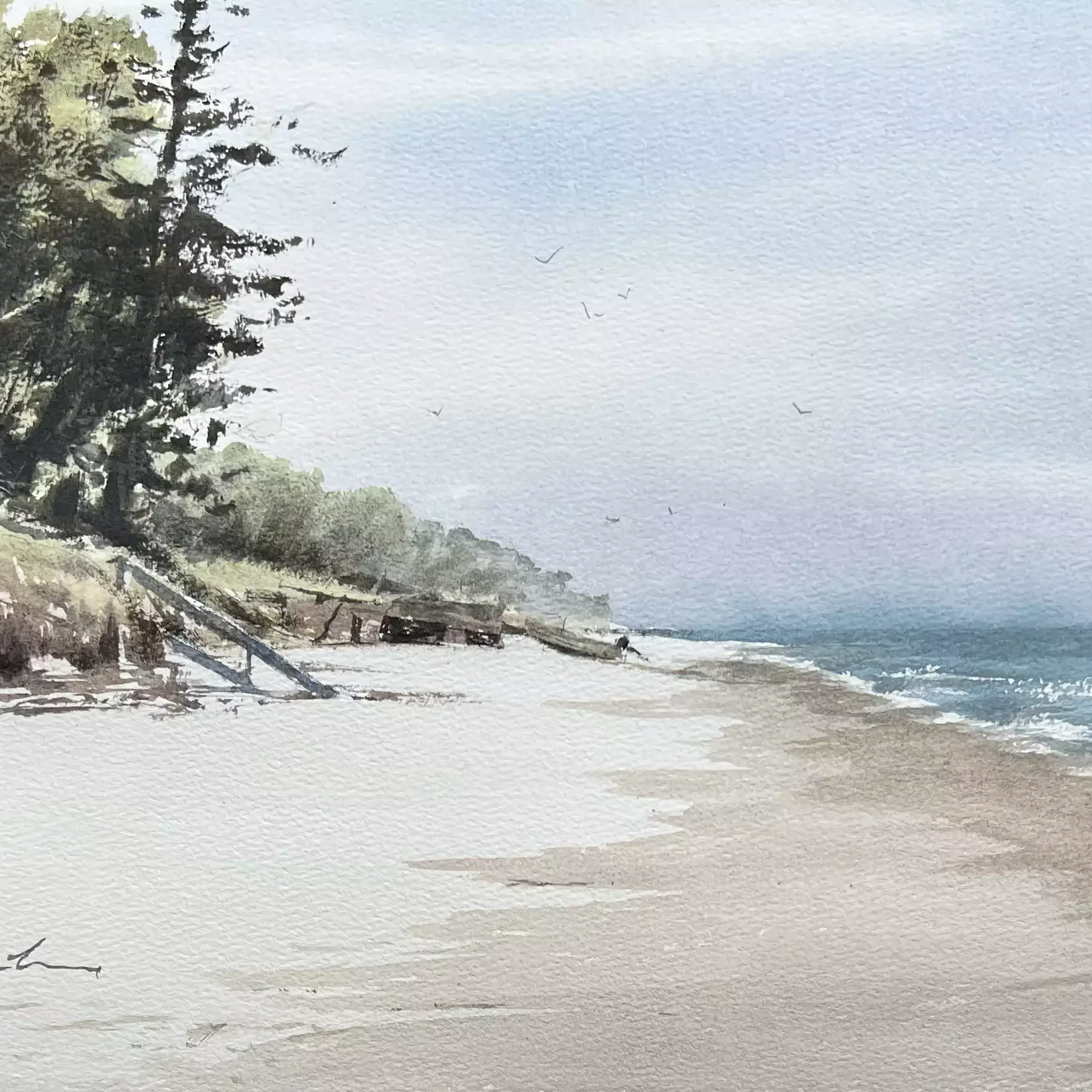 Cowan-Cowan-Beach-South-01