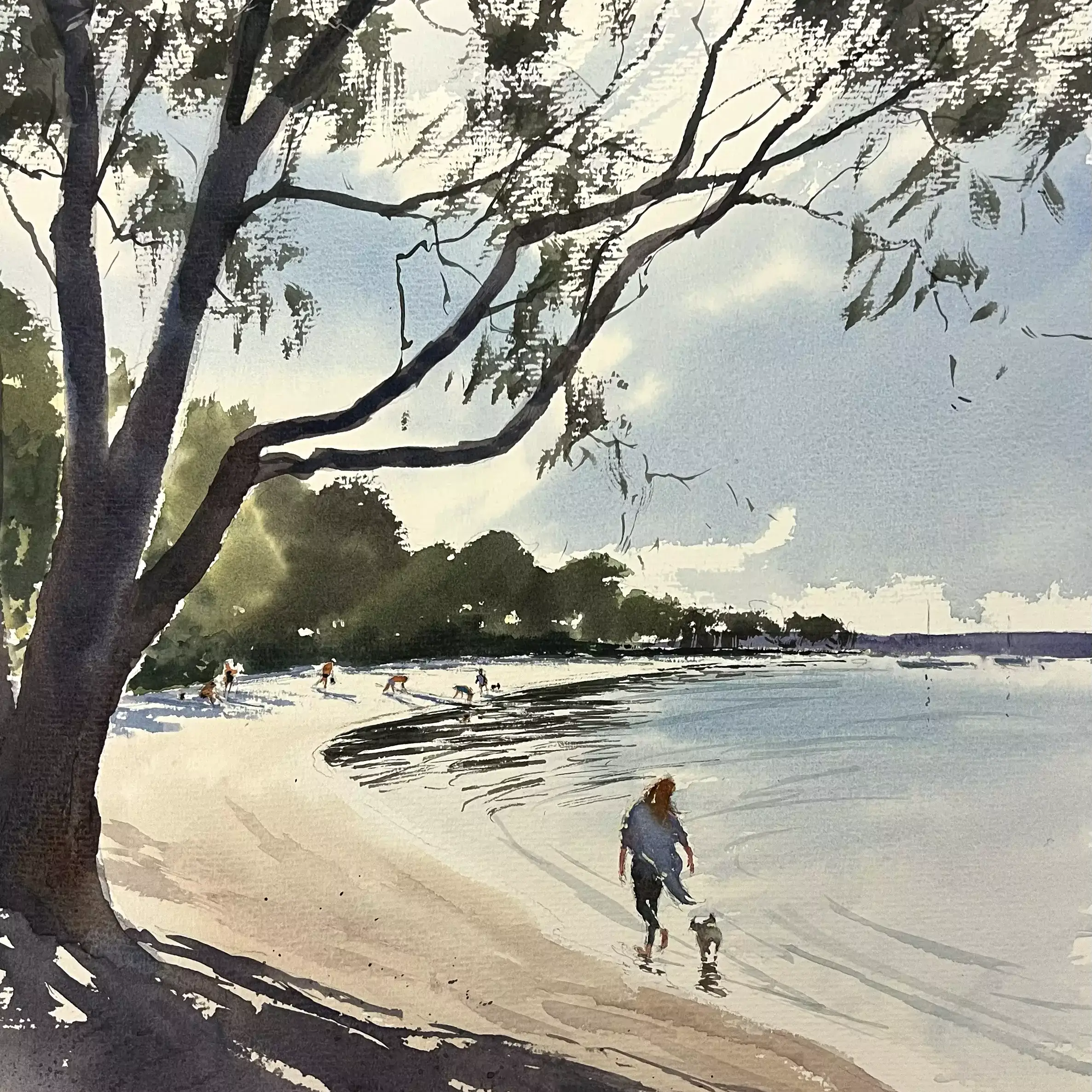 A-Walk-Along-Boreen-Point-01