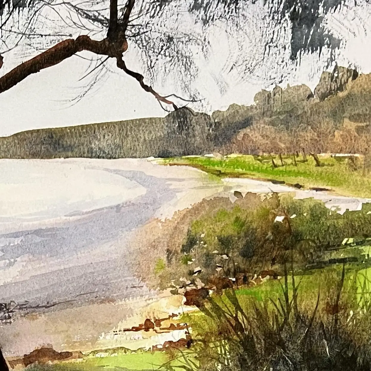 meeluptree-crop