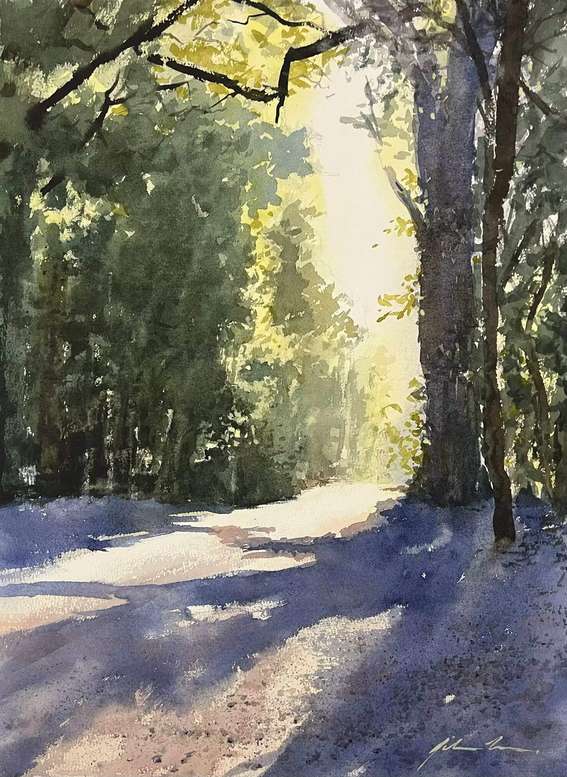 Forest-Light-01