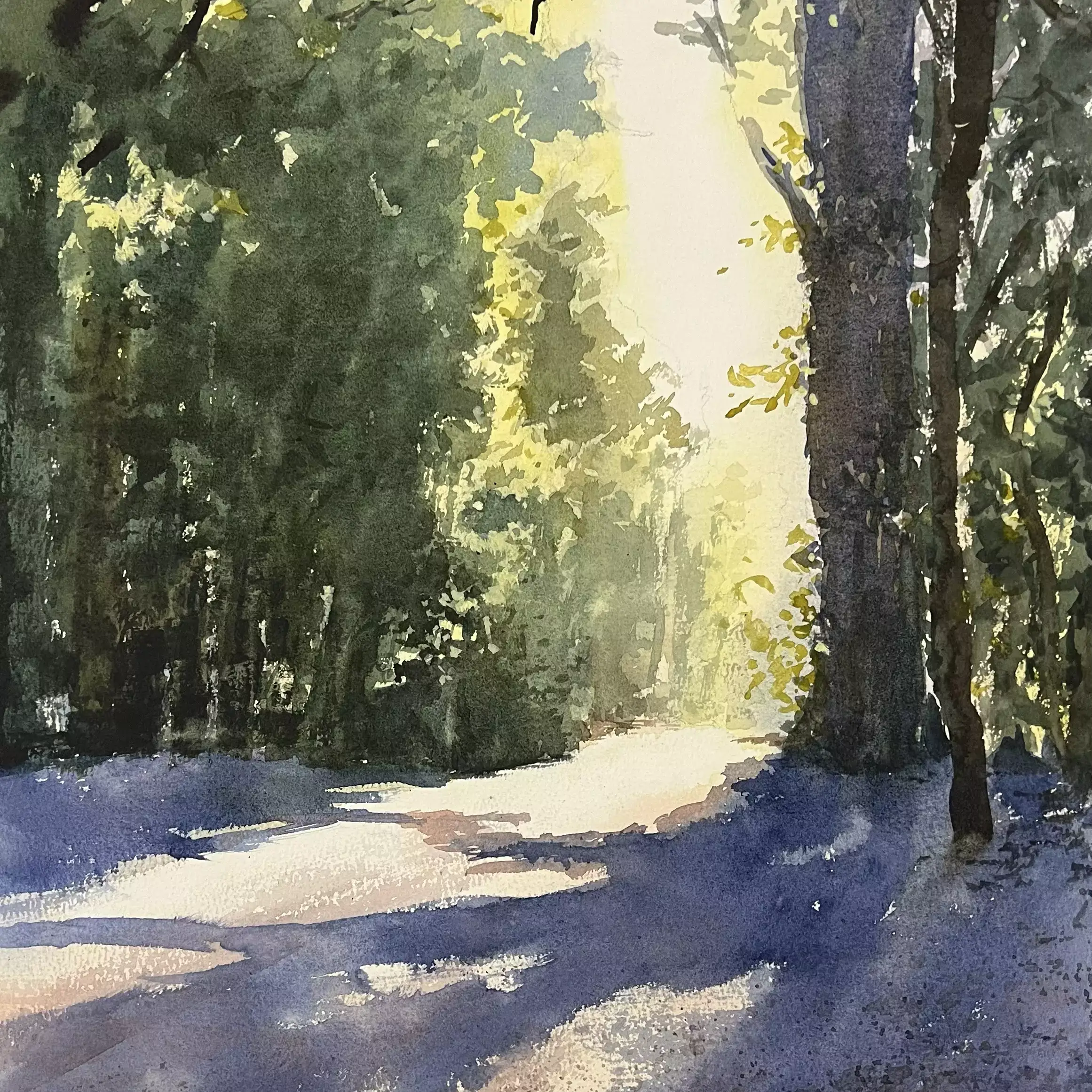 Forest-Light-01