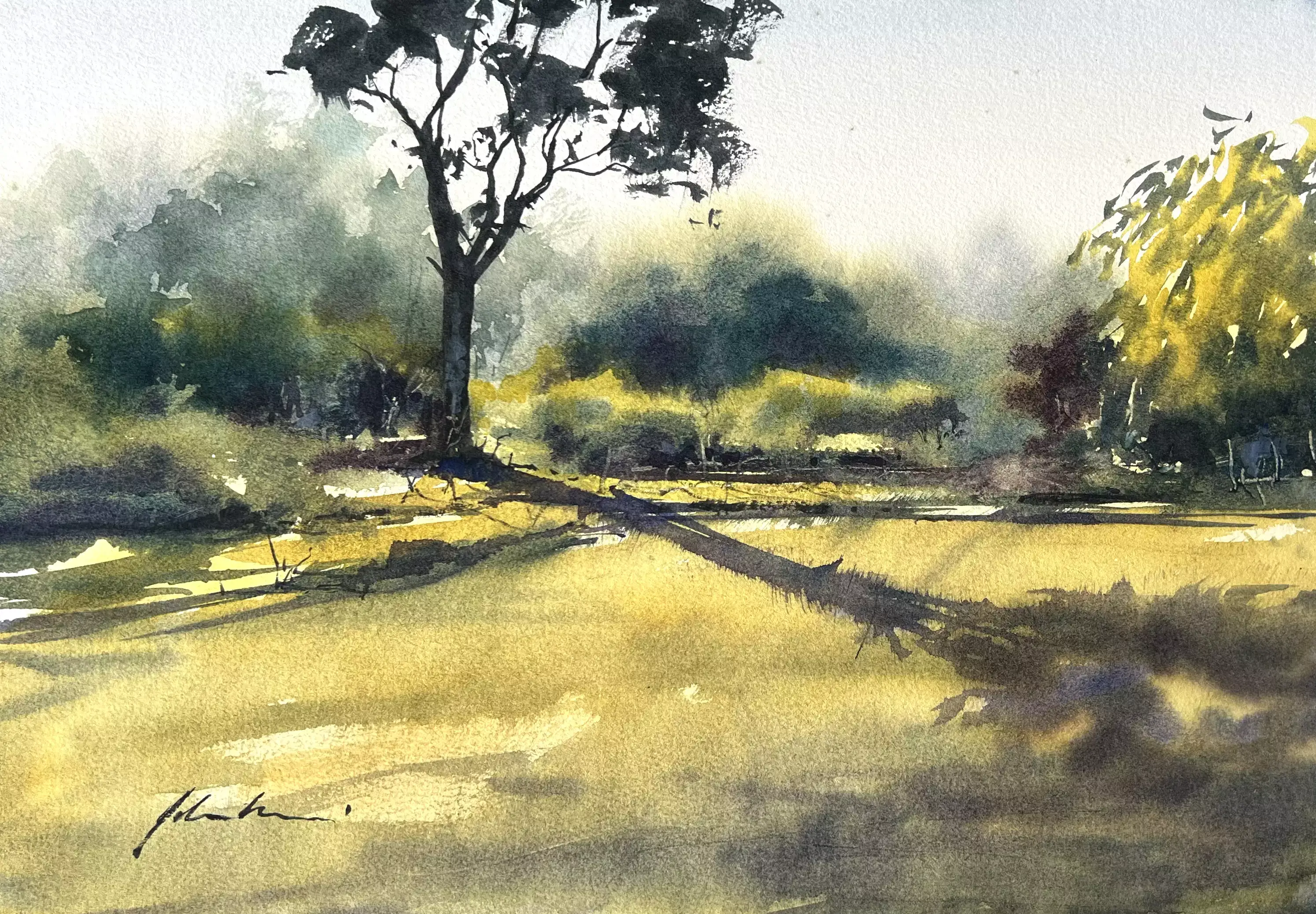 Shadows-of-a-Lonely-Tree-01