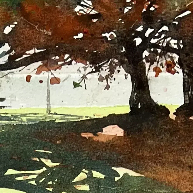 Two-Poincianas-04