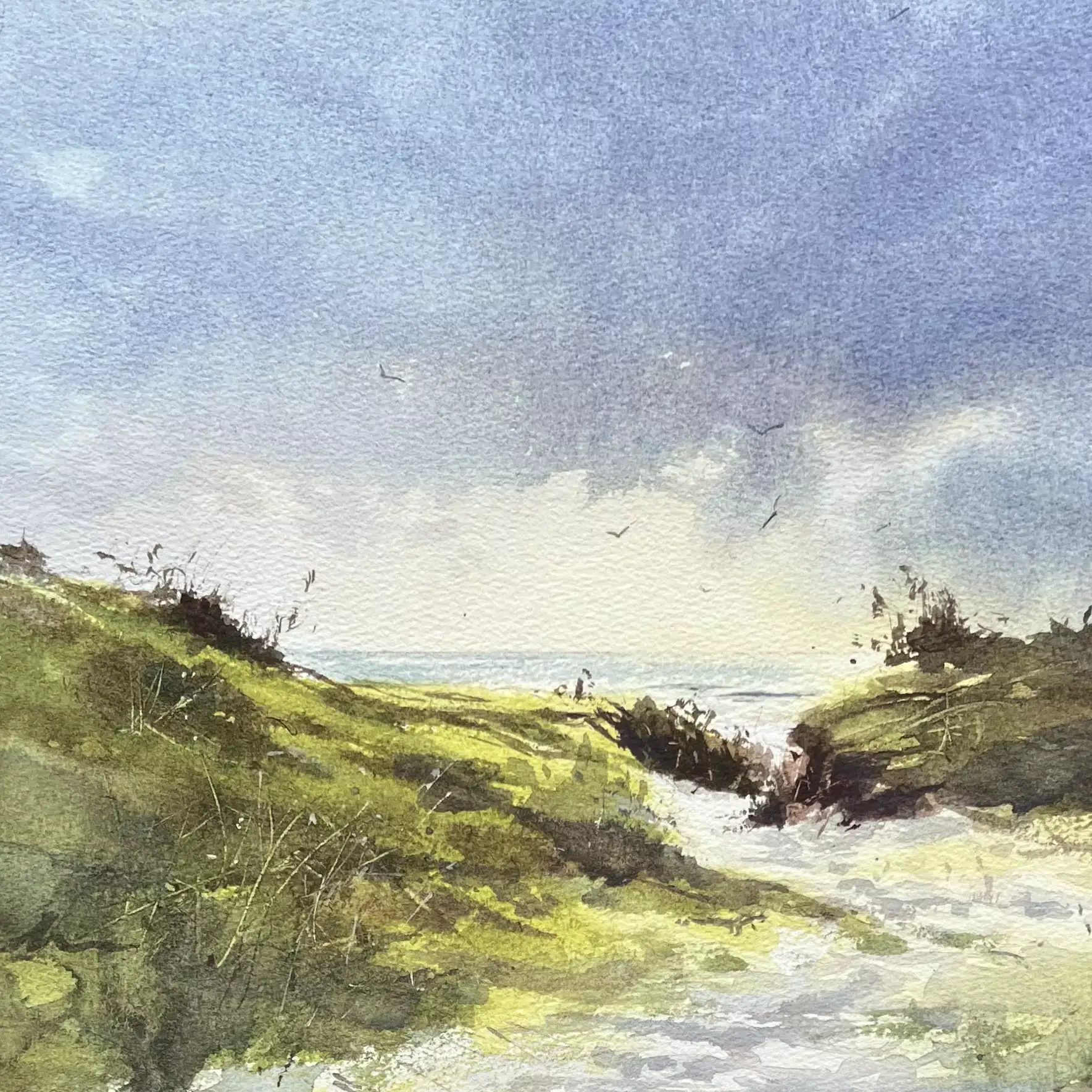 Afternoon-Light-02